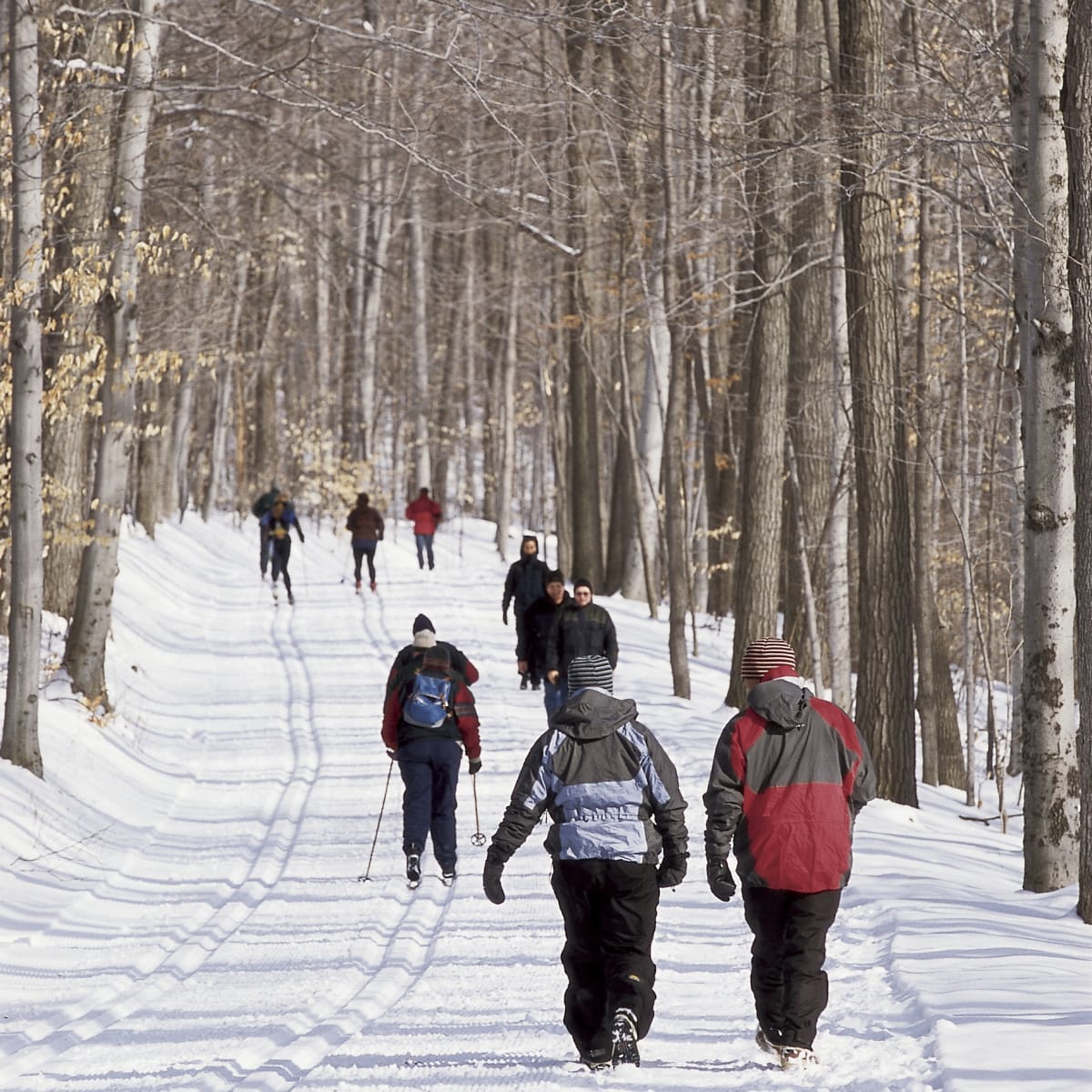 parc_national_du_mont_saint_bruno_1_h