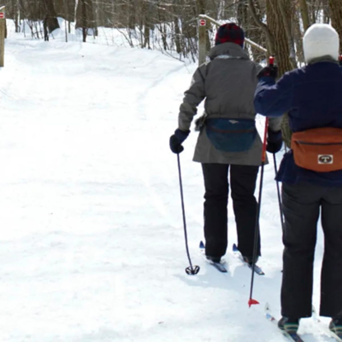 parc_nature_du_bois_de_liesse_1_h