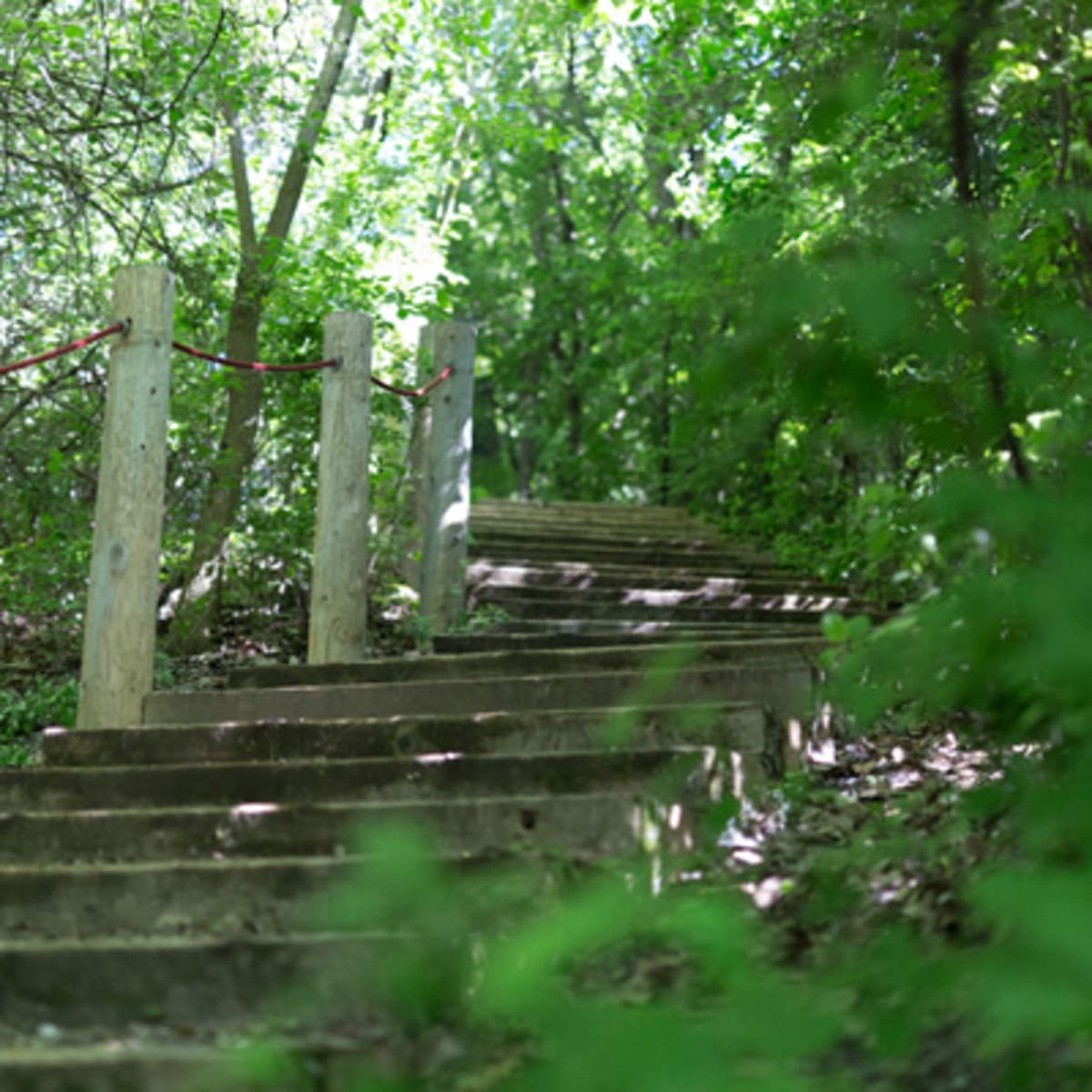 parc_naturel_terra_cotta_1