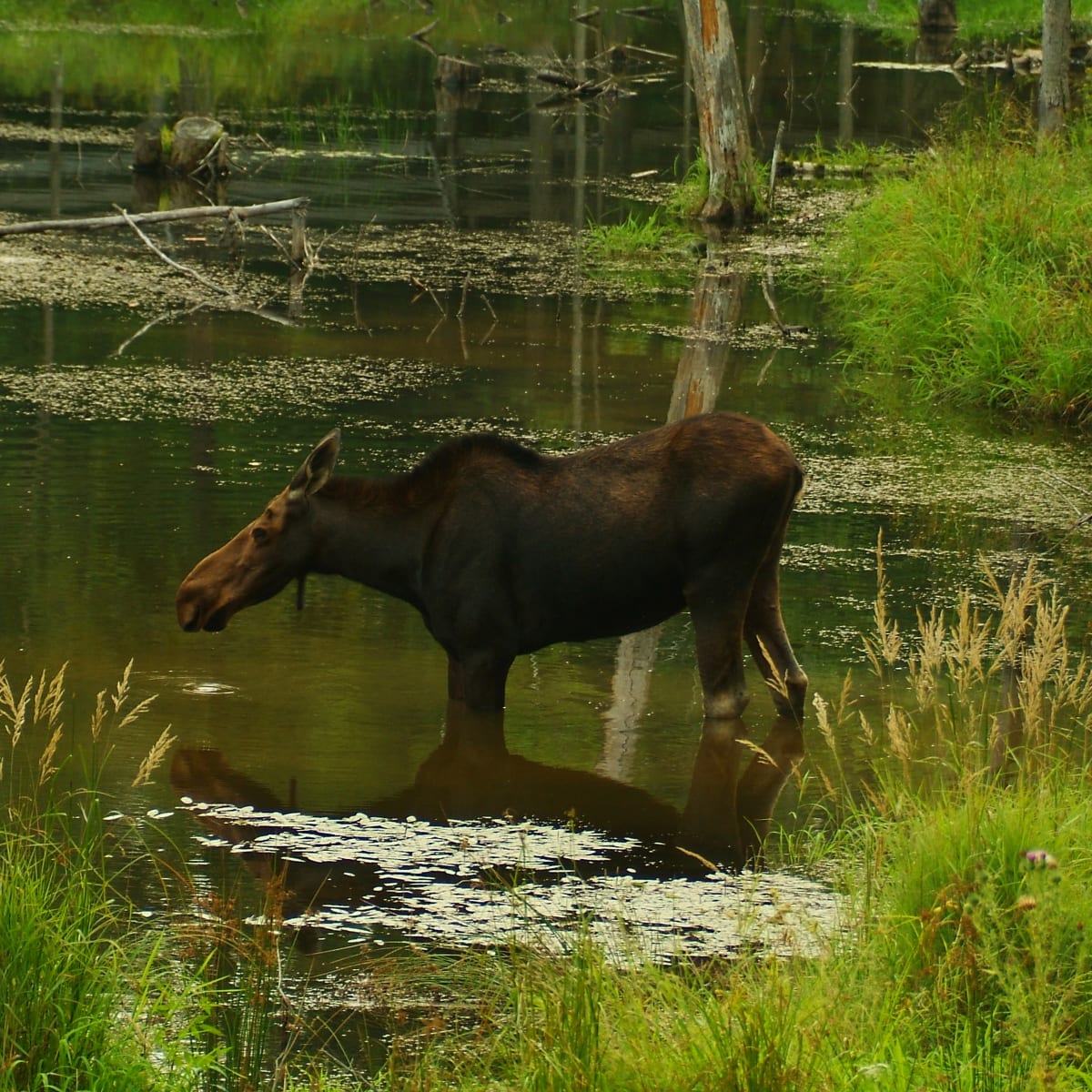 parc_omega_10