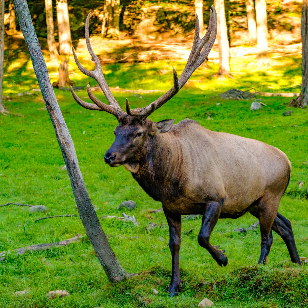 parc_omega_3