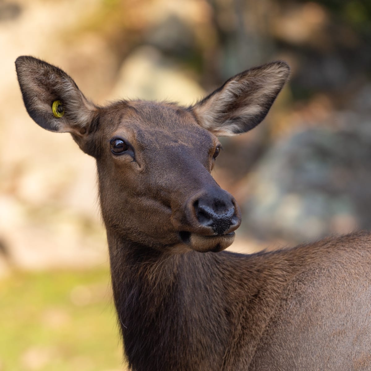 parc_omega_6