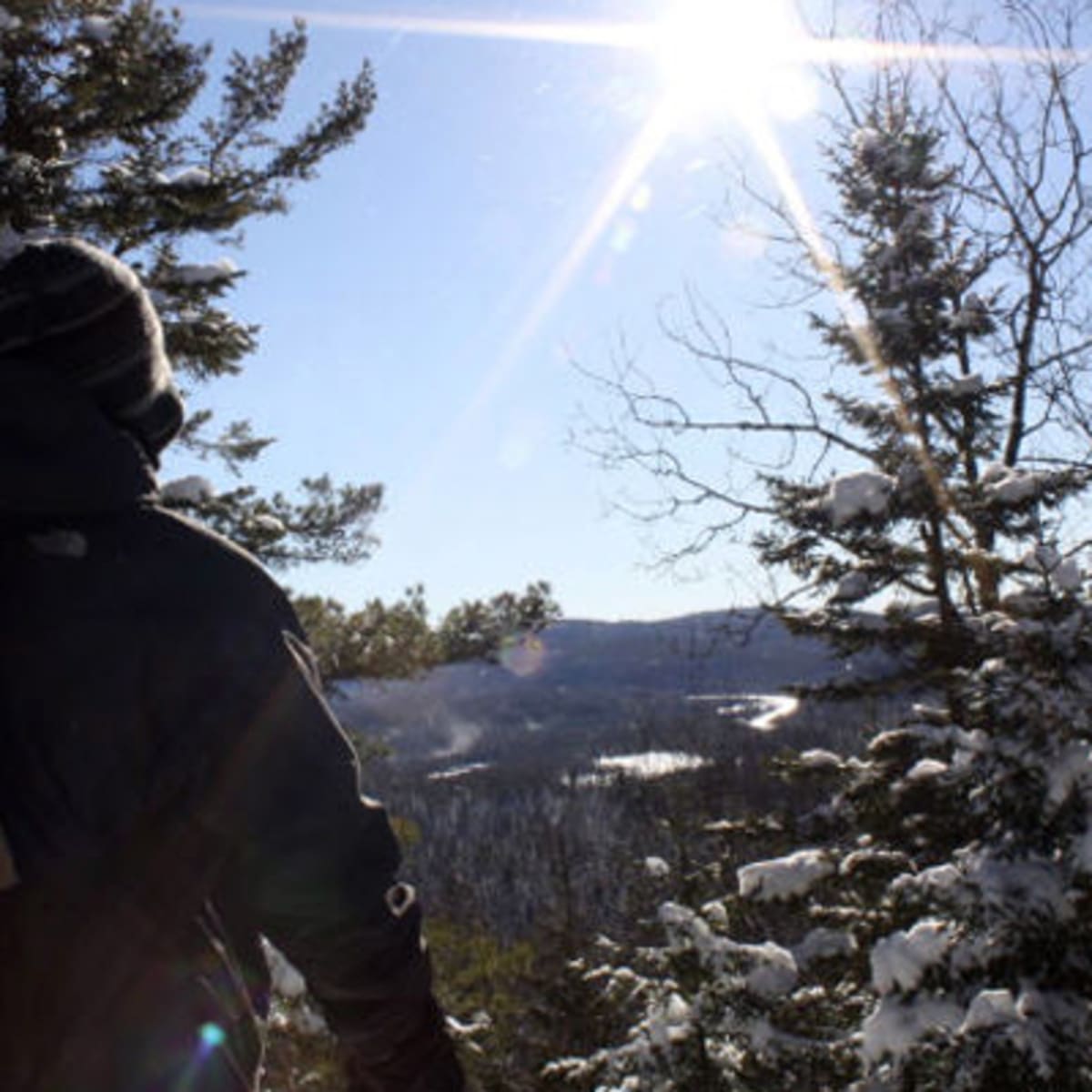 parc_regional_de_la_foret_ouareau_1_h