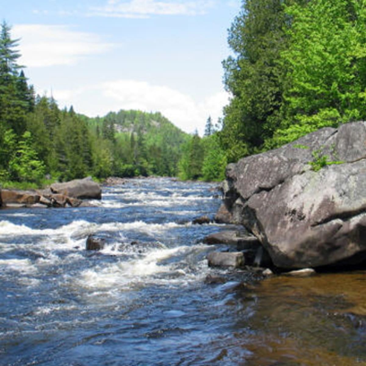 parc_regional_de_la_foret_ouareau_2