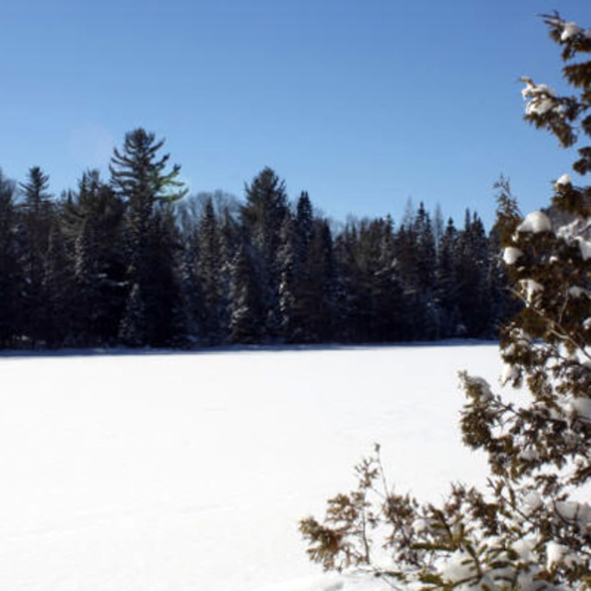 parc_regional_de_la_foret_ouareau_2_h