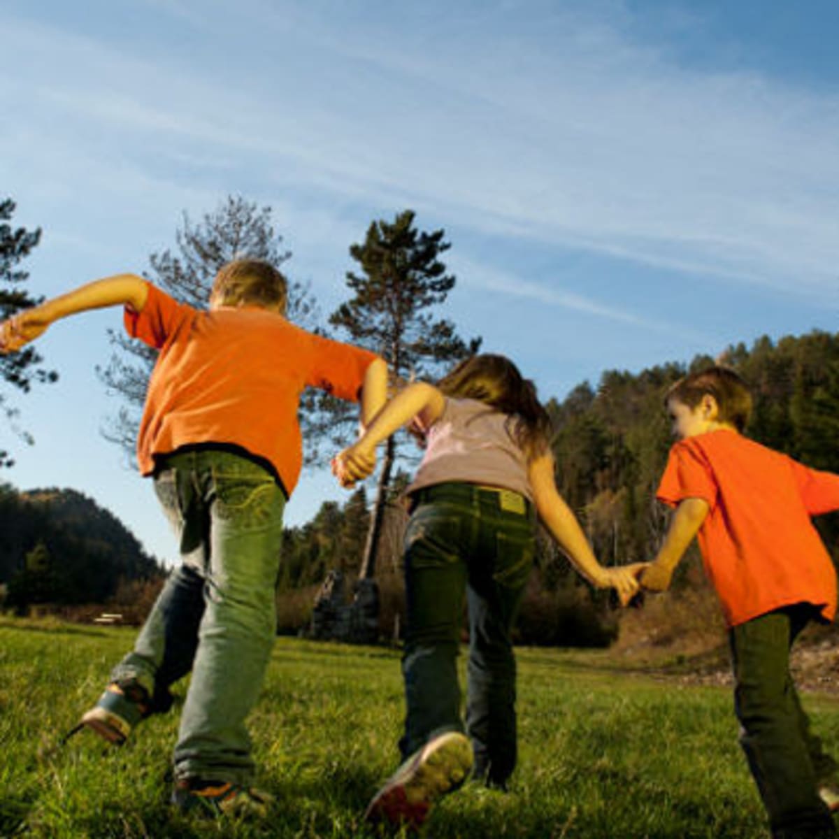 parc_regional_de_la_foret_ouareau_3