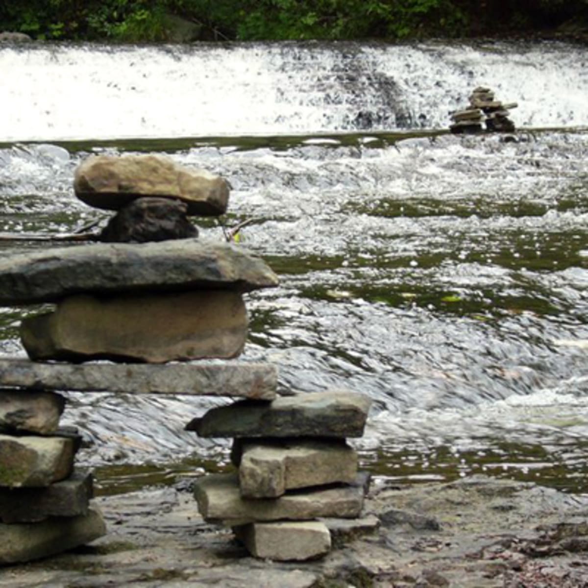 parc_regional_de_la_riviere_gentilly_2