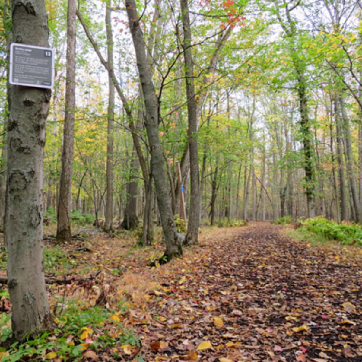 parc_regional_de_longueuil_1_a