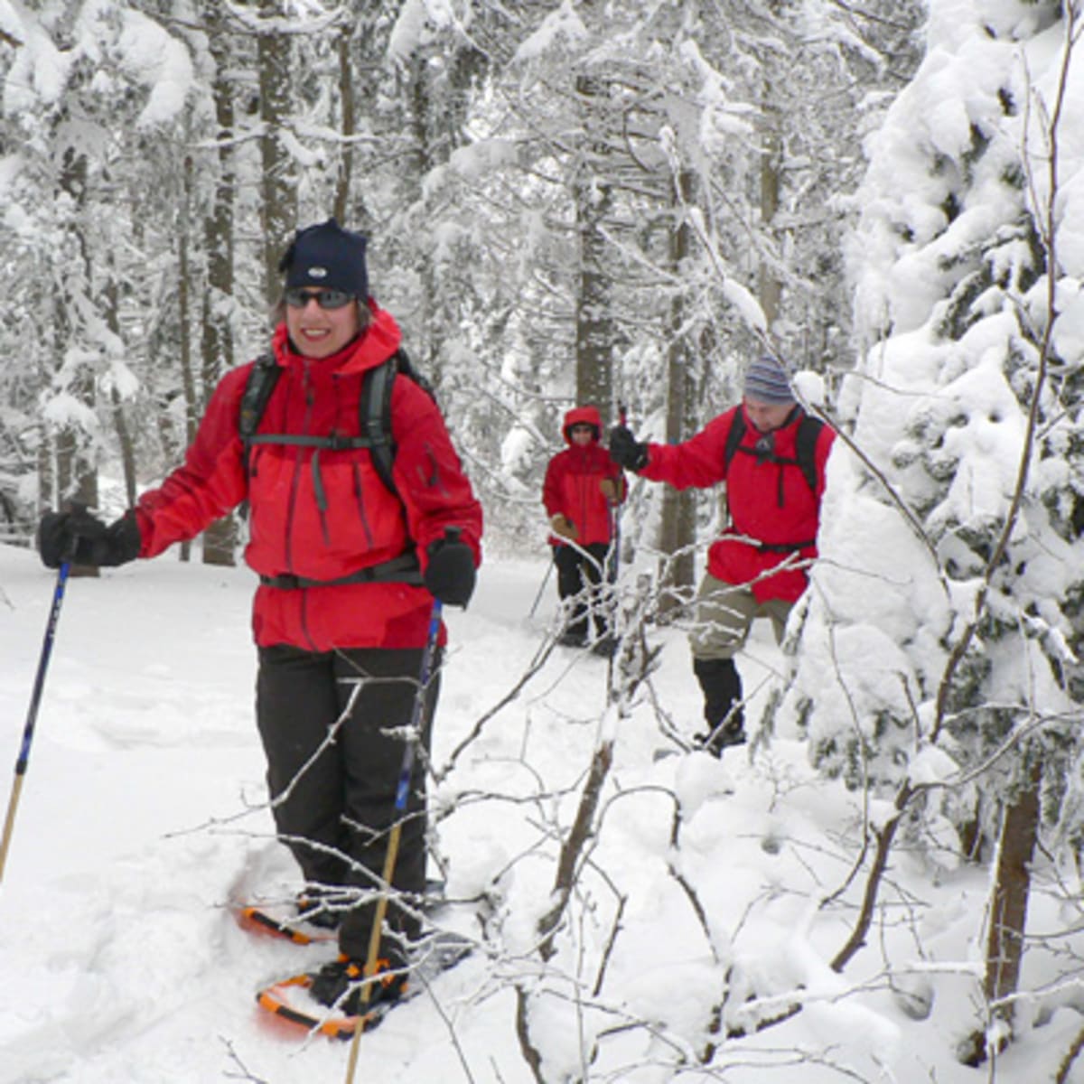parc_regional_des_appalaches_2_h