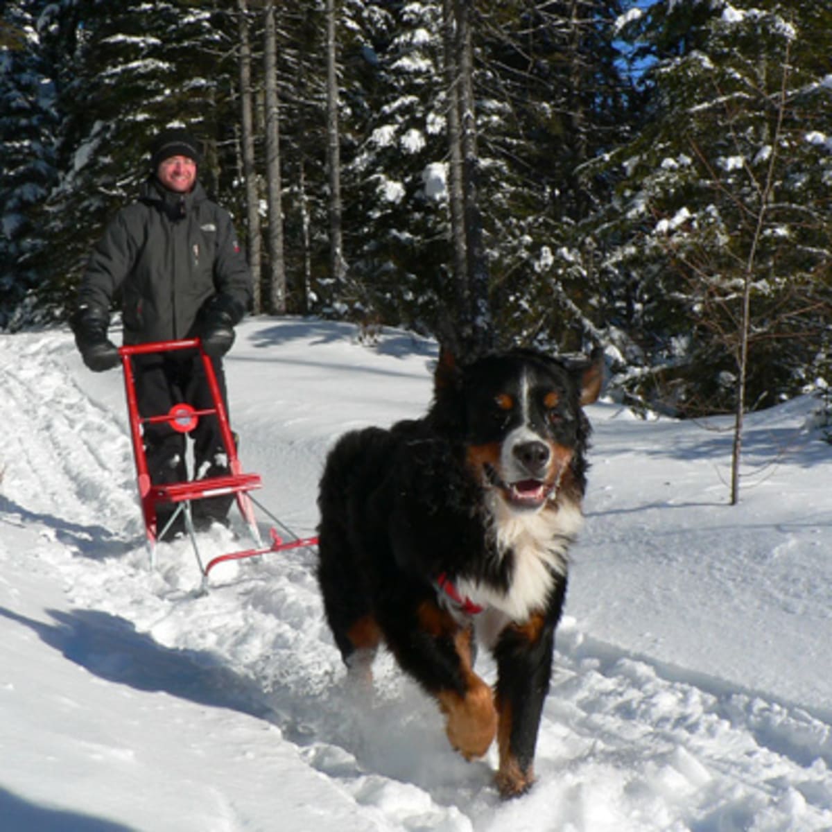 parc_regional_des_appalaches_4_h