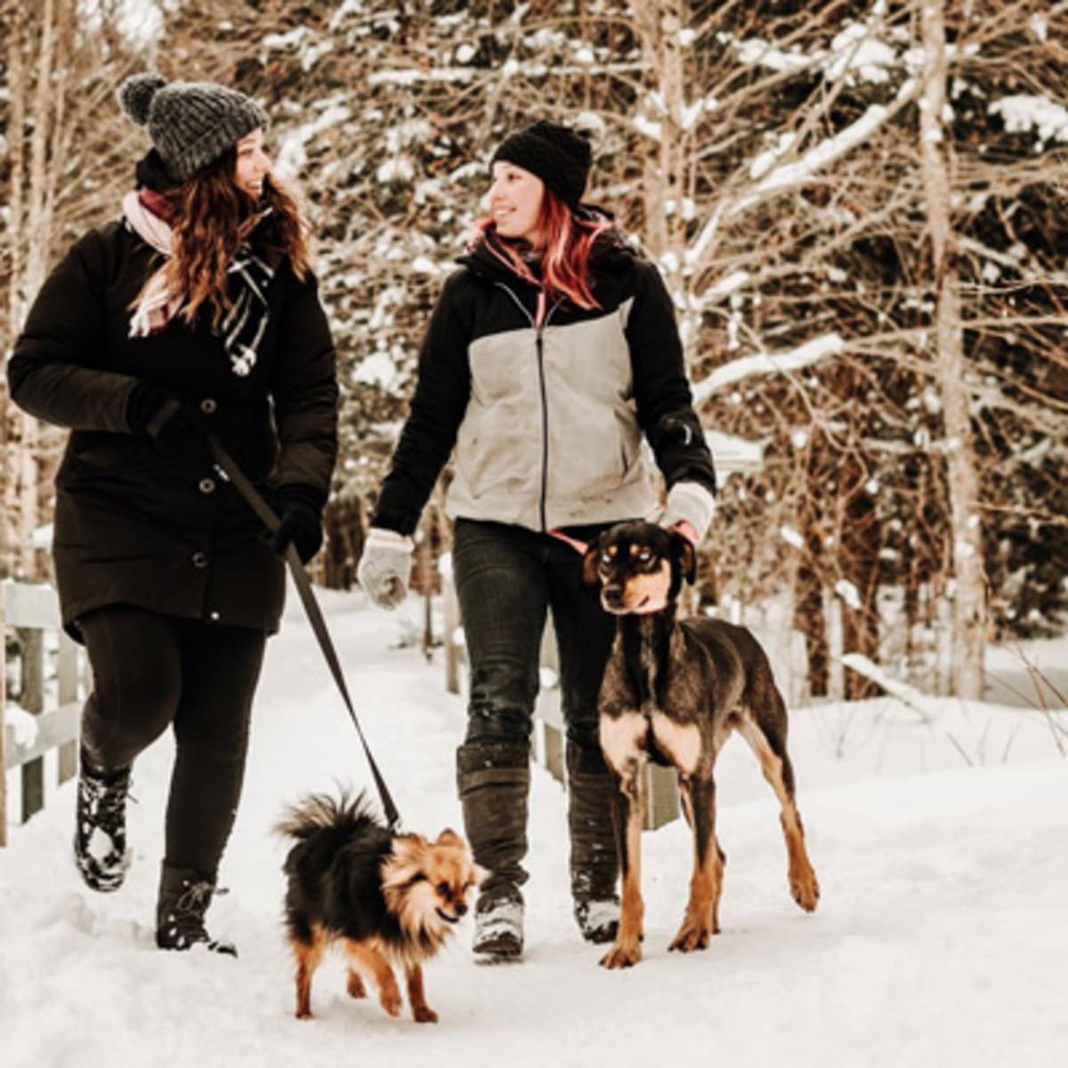 parc_regional_des_grandes_coulees_1_h