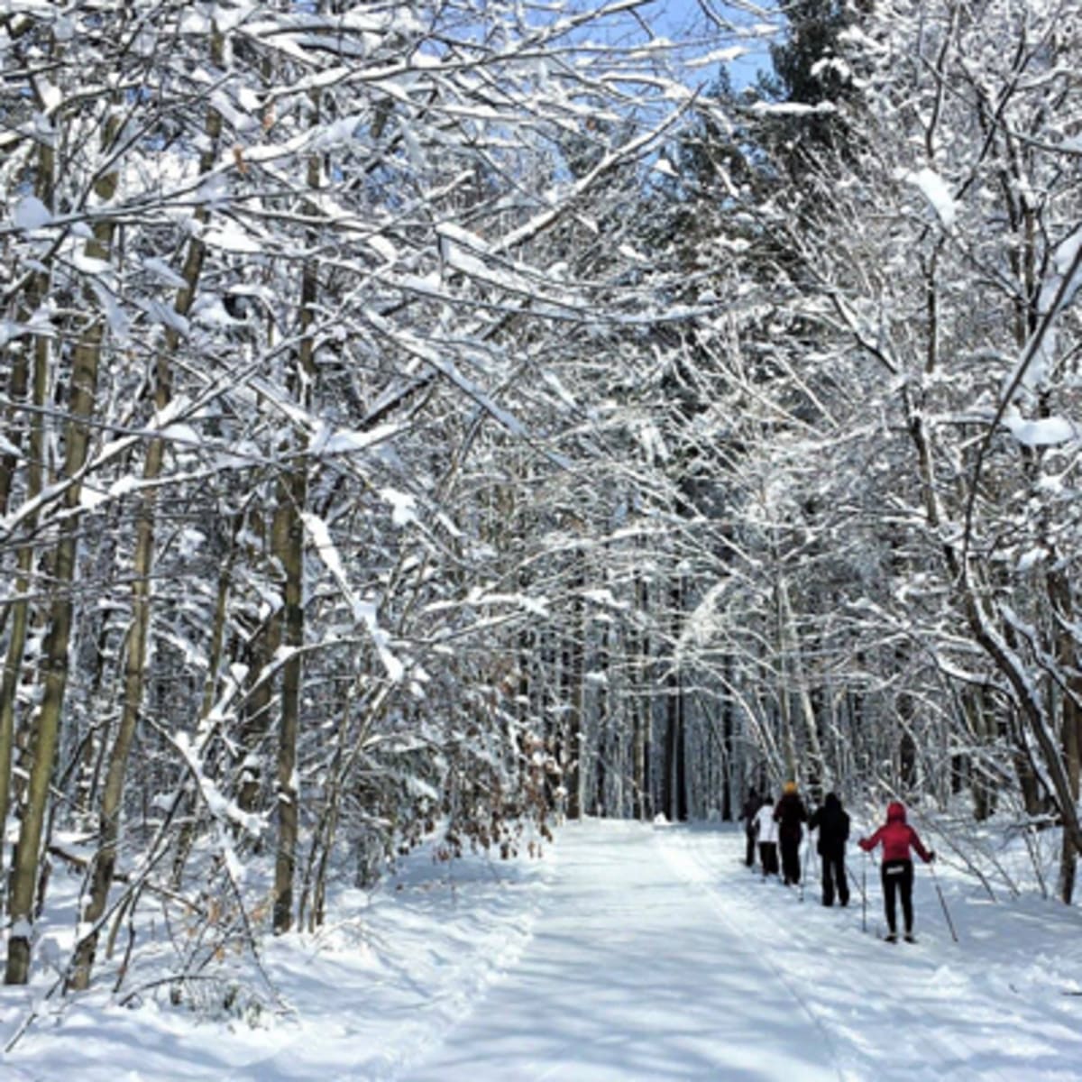 parc_regional_des_greves_1_h