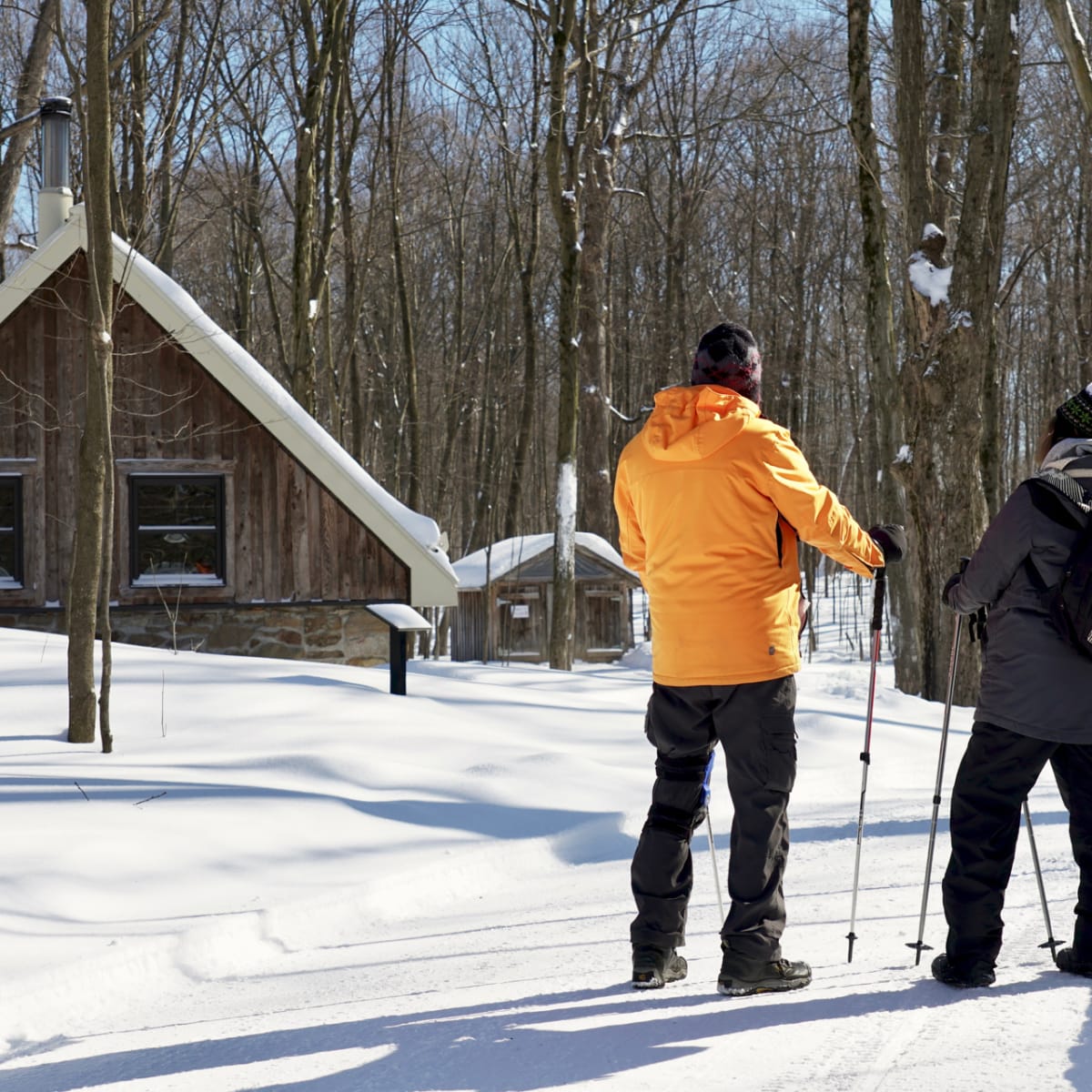 parc_regional_educatif_bois_de_belle_riviere_1_h