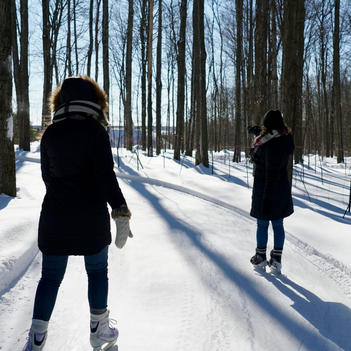 parc_regional_educatif_bois_de_belle_riviere_4_h