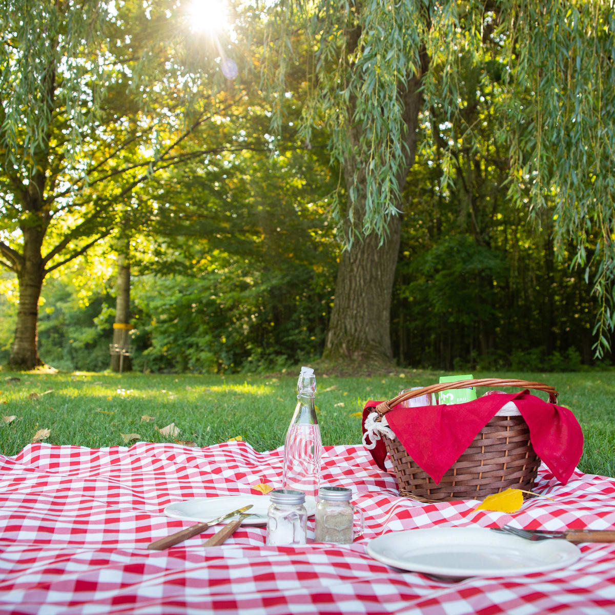 parc_regional_educatif_bois_de_belle_riviere_5