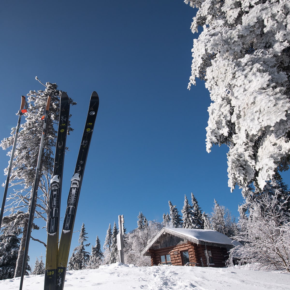 parc_regional_montagne_du_diable_1_h