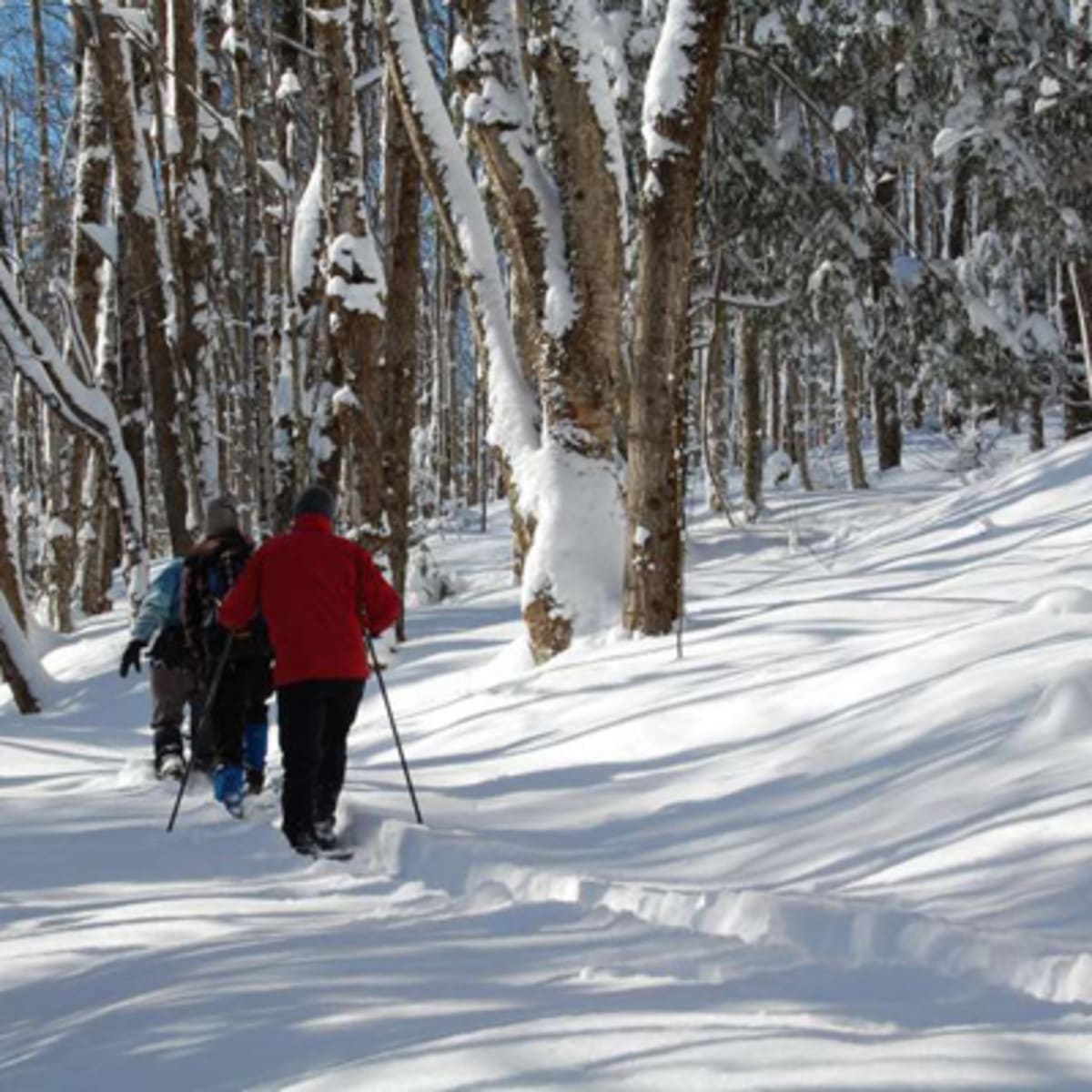 parcours_de_la_vallee_missisquoi_nord_1_h