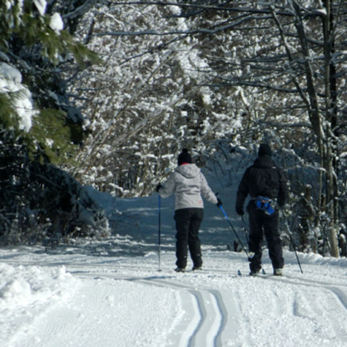 parcours_dhebertisme_aerien_du_parc_du_domaine_vert_2_h
