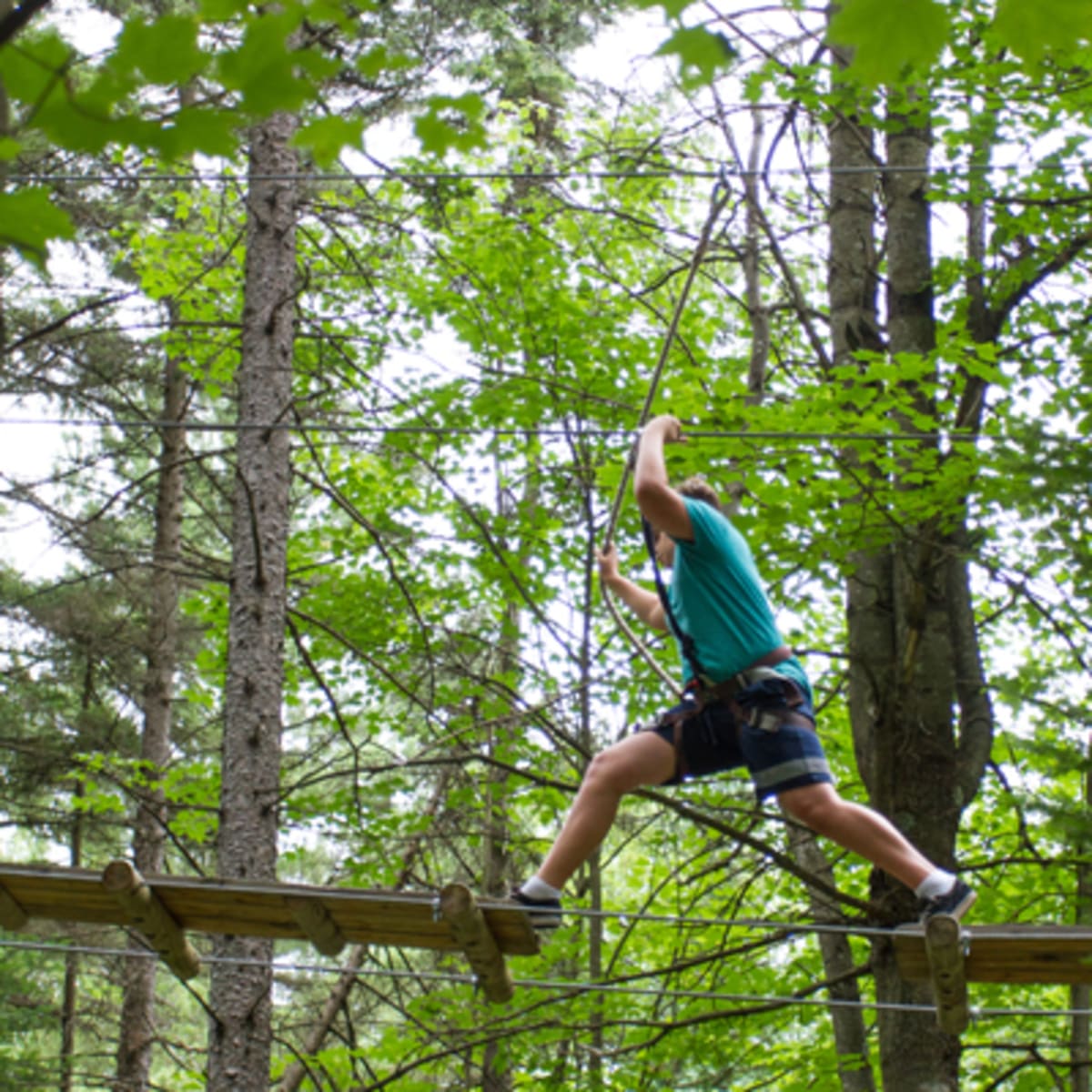parcours_dhebertisme_aerien_du_parc_du_domaine_vert_4