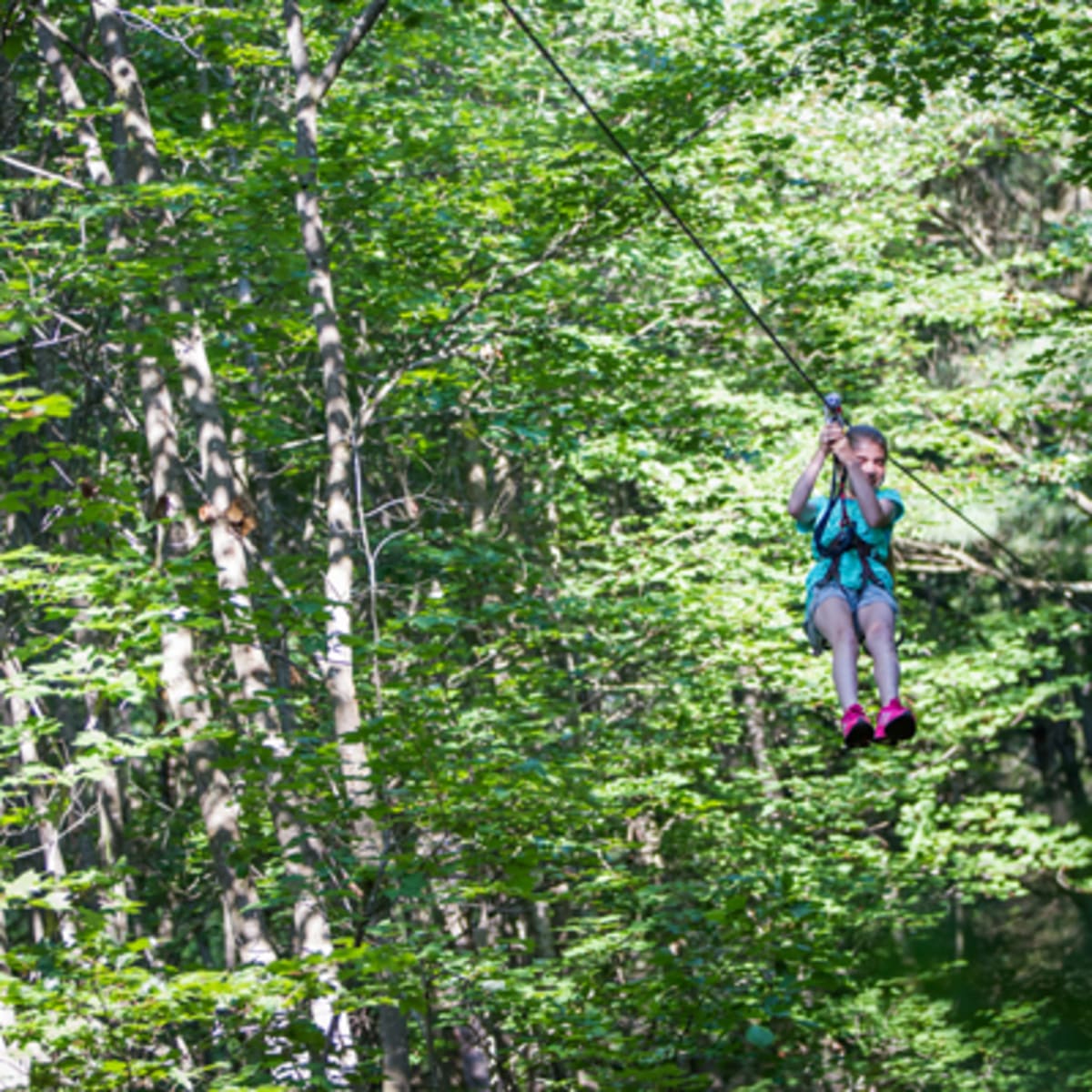 parcours_dhebertisme_aerien_du_parc_du_domaine_vert_9