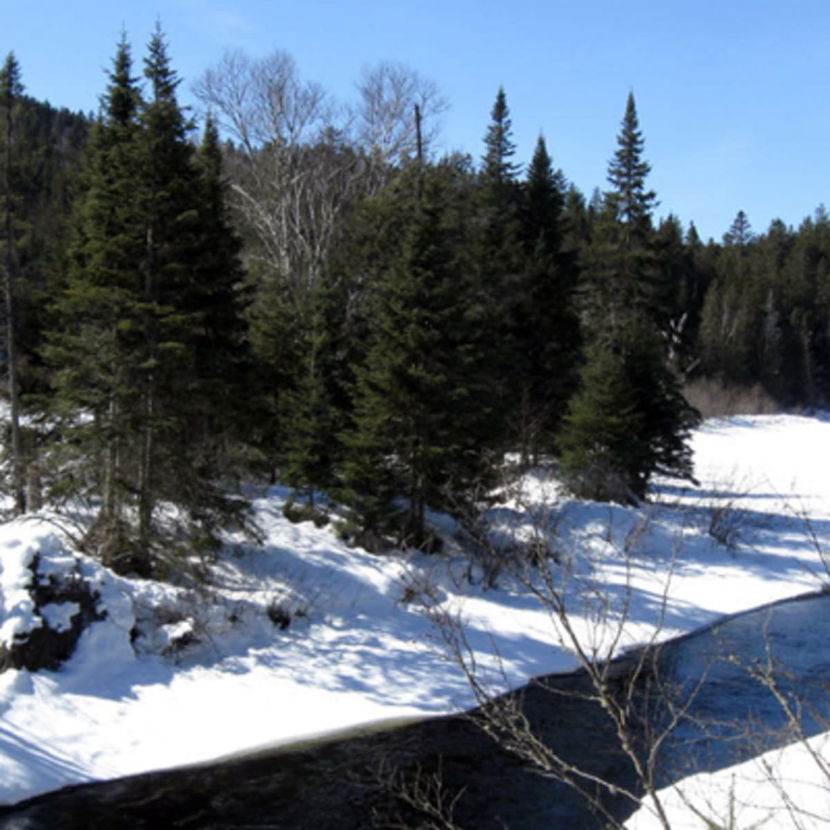 parcs_regionaux_de_la_matawinie_1_h