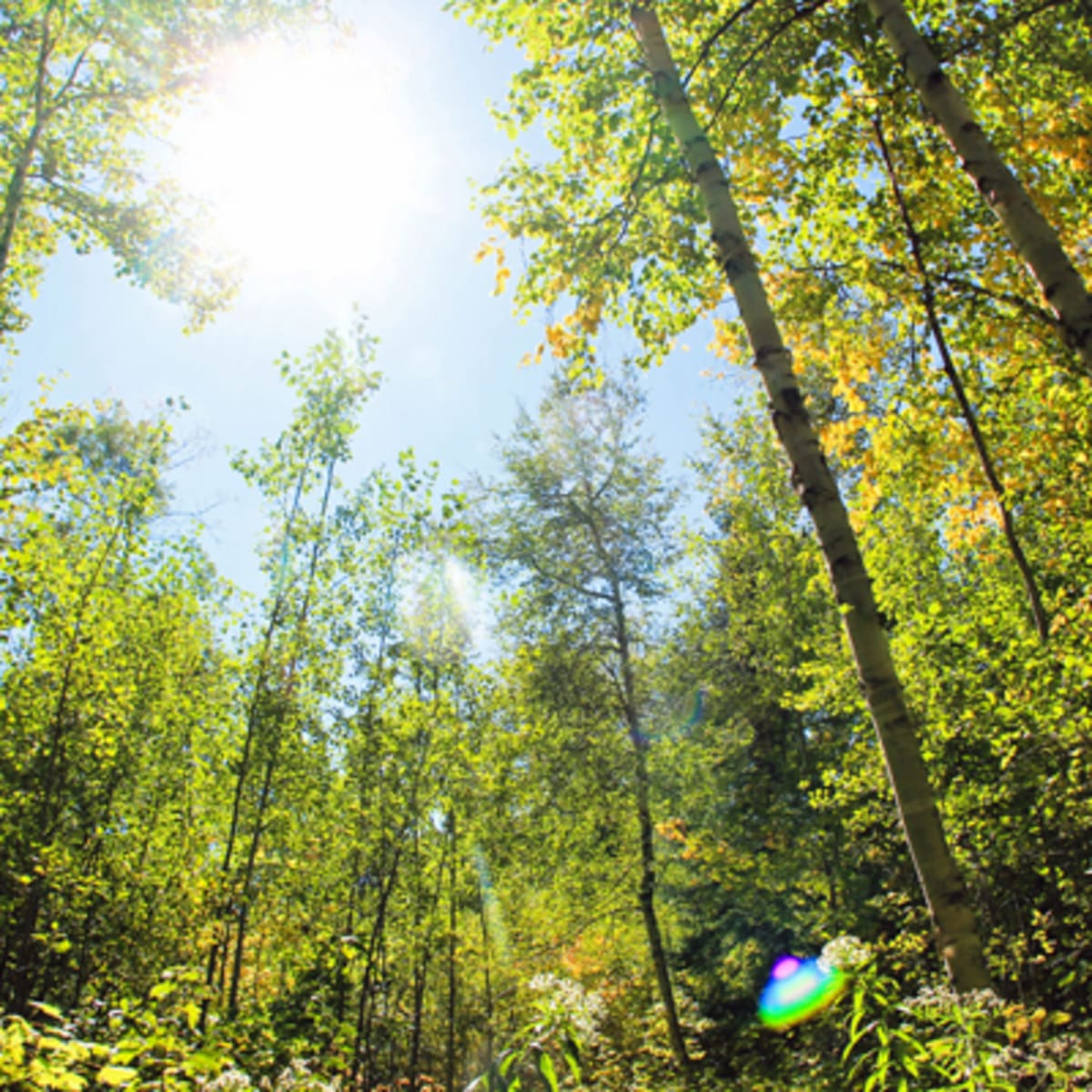 parcs_regionaux_du_quebec_1