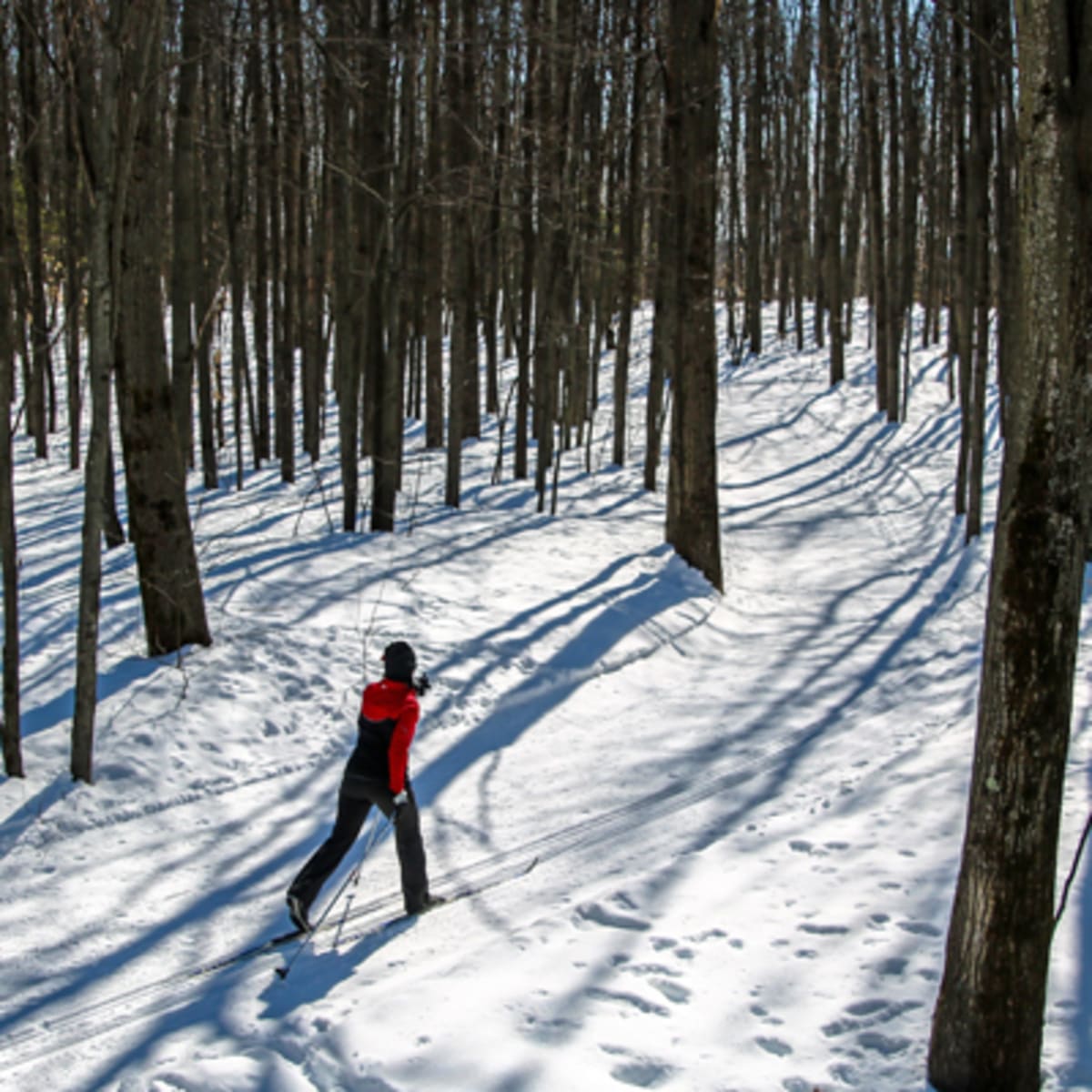 parcs_regionaux_du_quebec_2_h