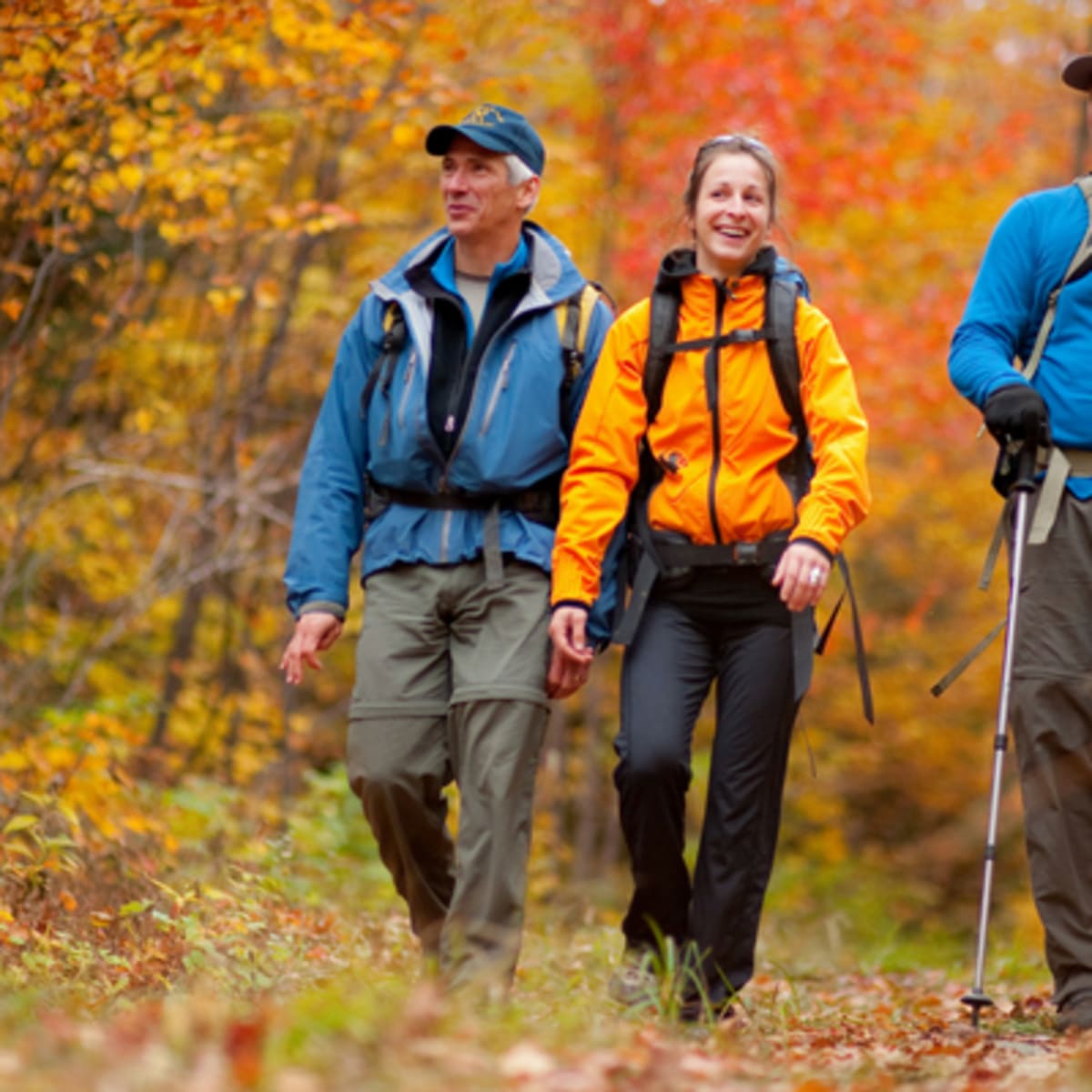 parcs_regionaux_du_quebec_3_a