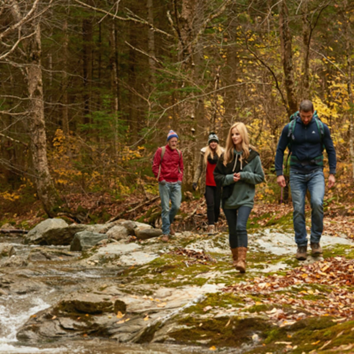 parcs_regionaux_du_quebec_4_a