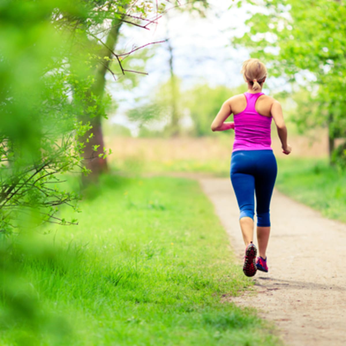 piste_cyclable__la_route_des_champs_14