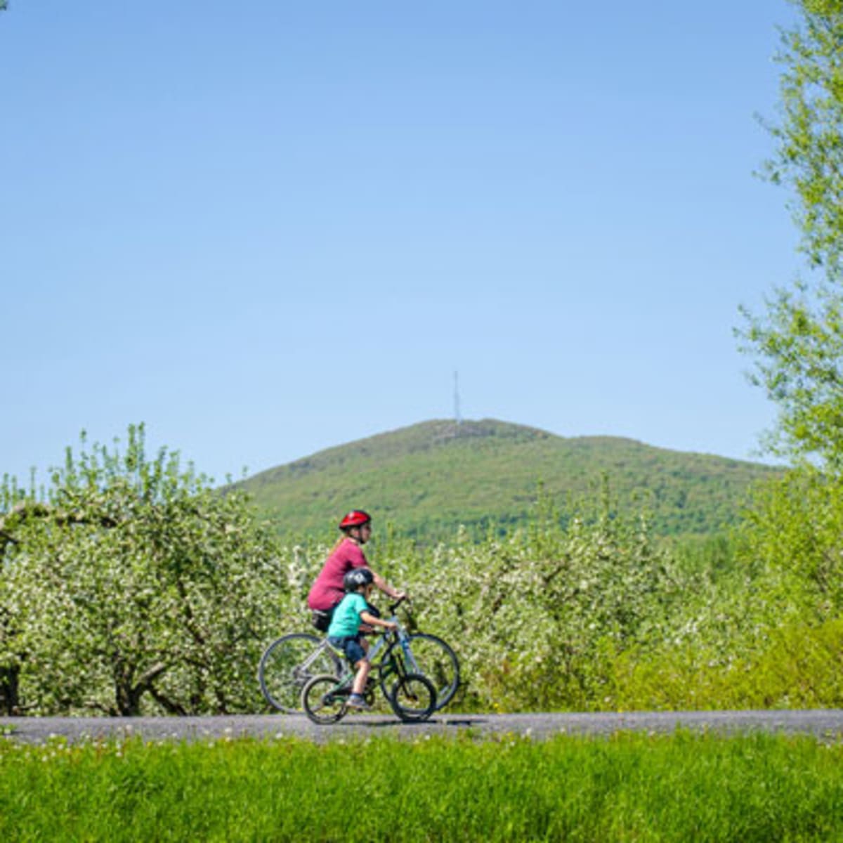 piste_cyclable__la_route_des_champs_16