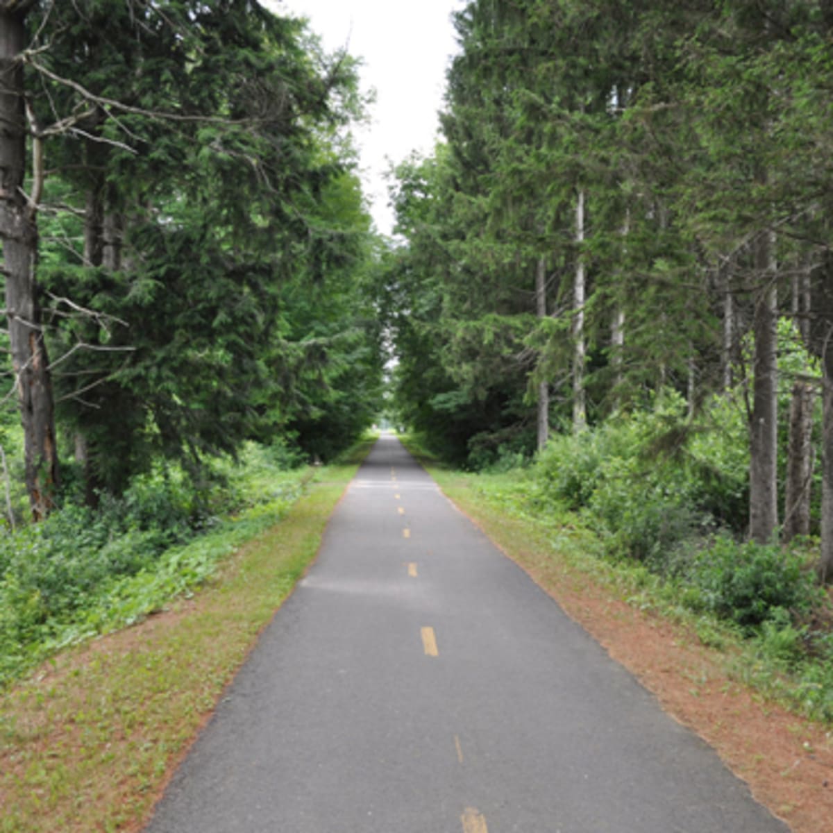 piste_cyclable__la_route_des_champs_18