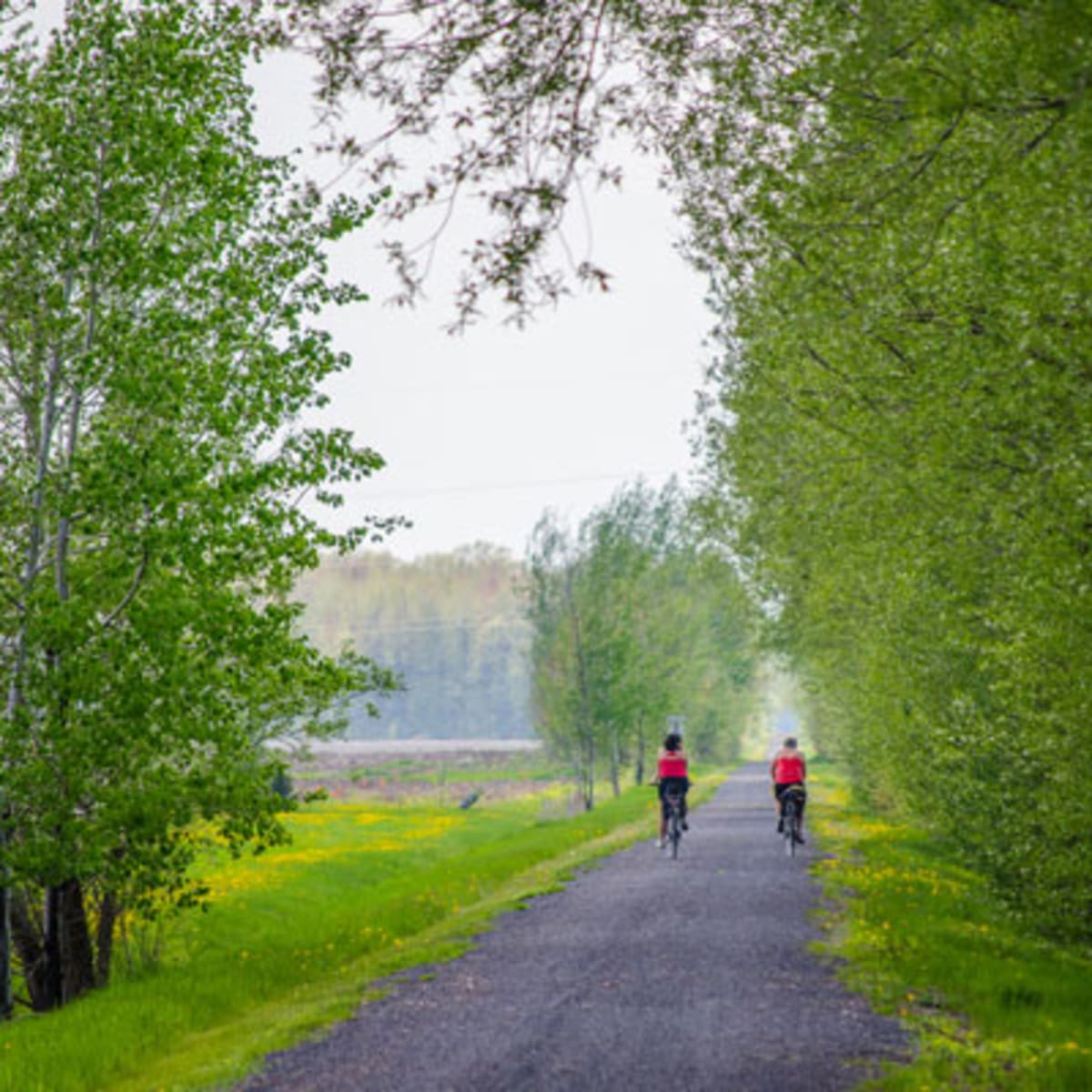 piste_cyclable__la_route_des_champs_4
