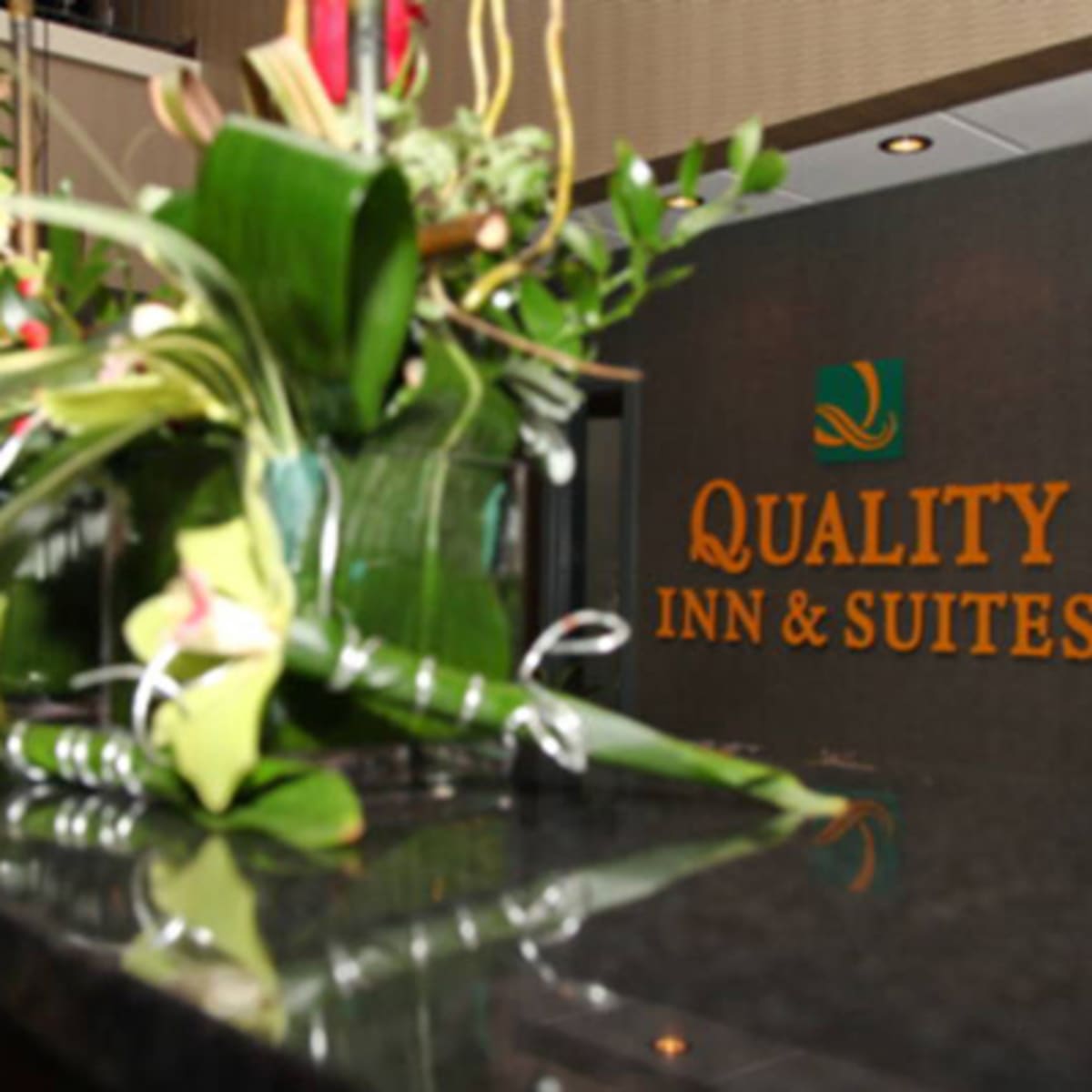 quality_inn__suites_victoriaville_2