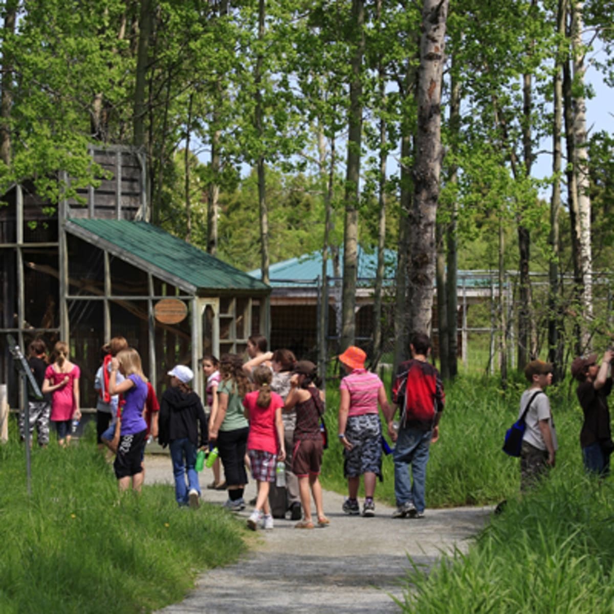 refuge_pageau_11
