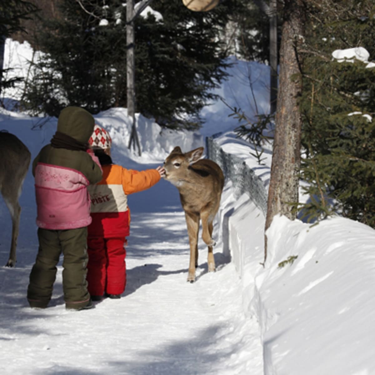 refuge_pageau_3_h