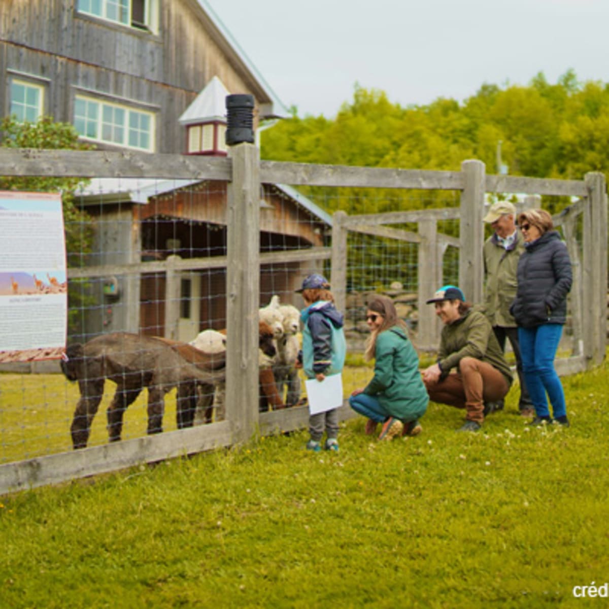 region_de_brome_missisquoi_5