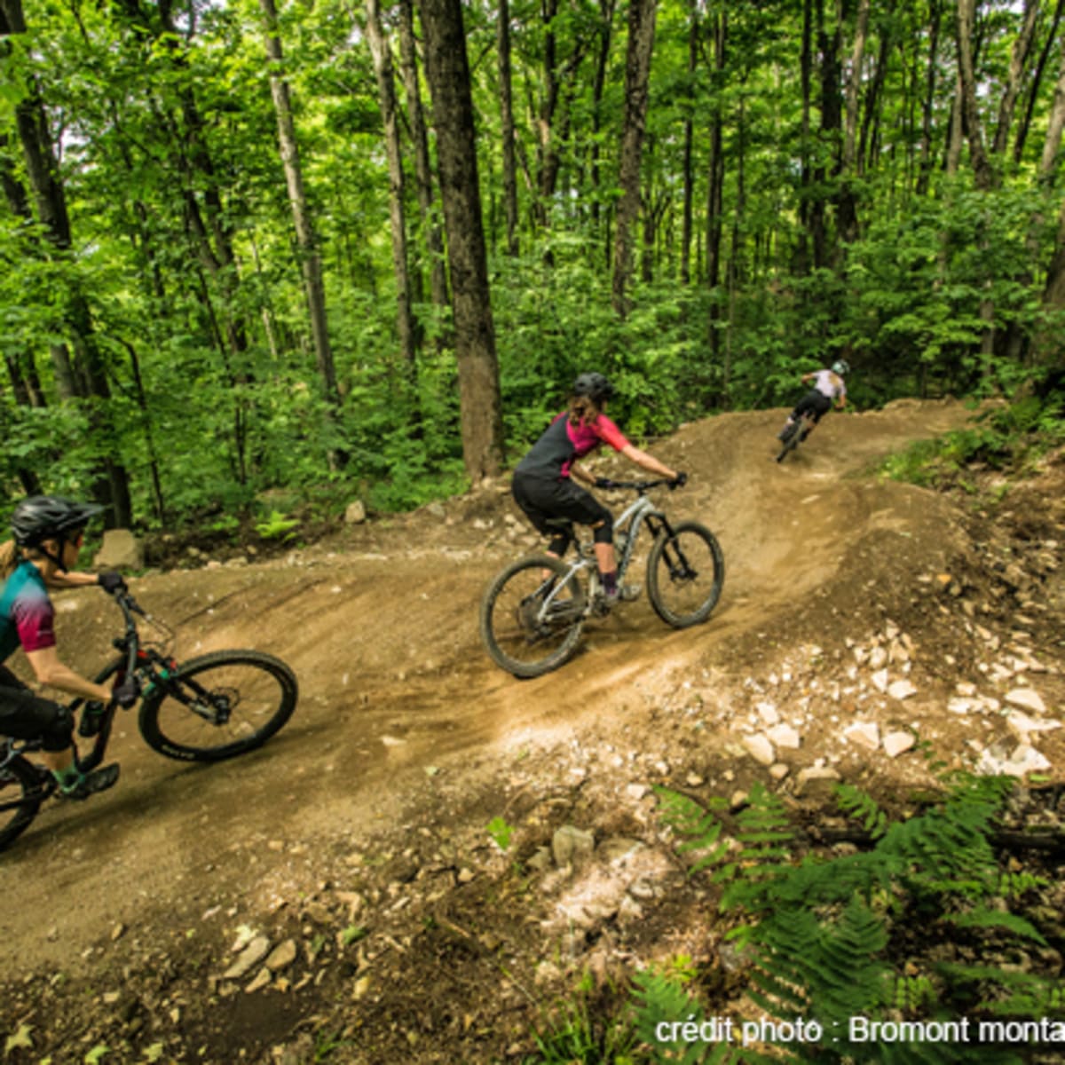 region_de_brome_missisquoi_9