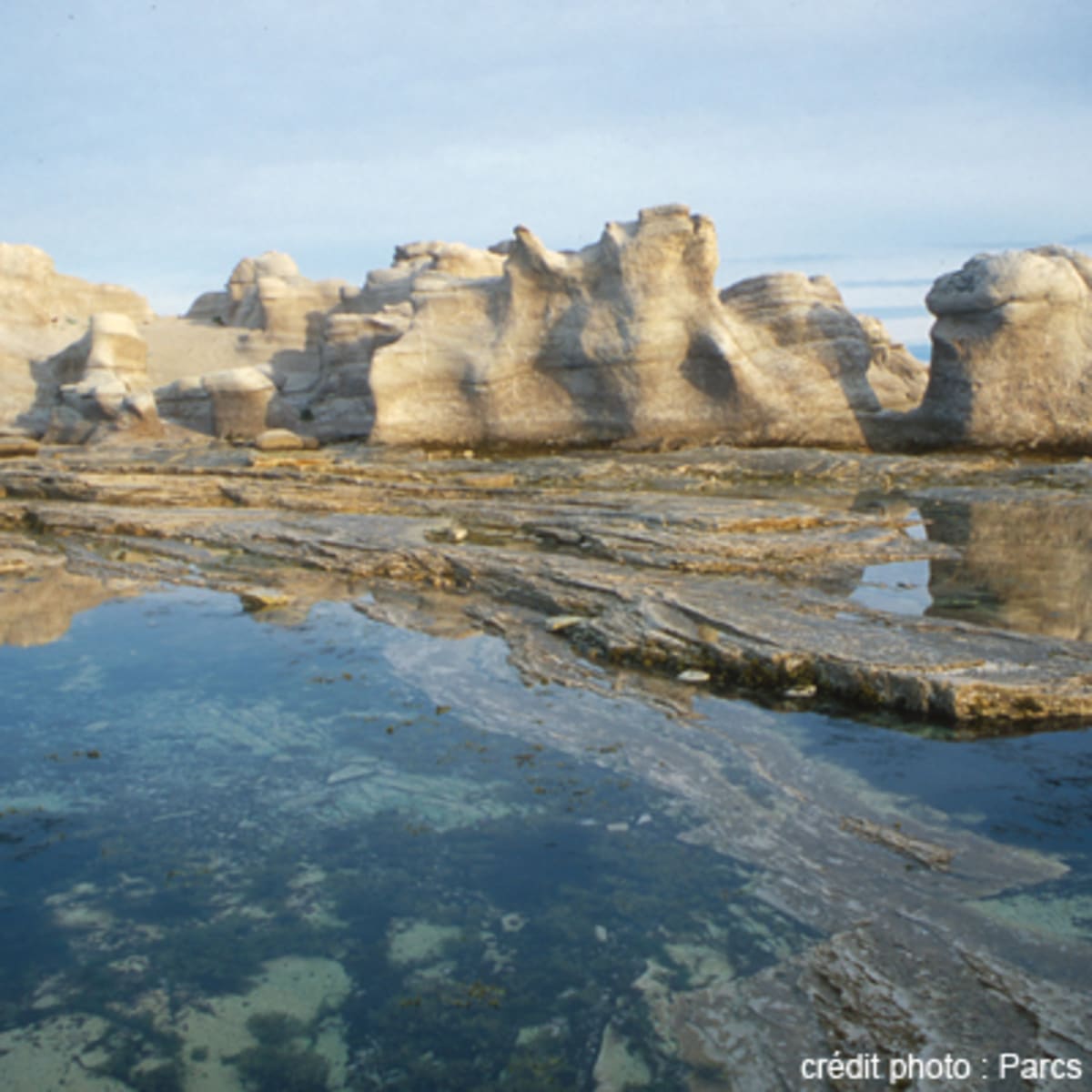 reserve_de_parc_national_de_larchipel_de_mingan_14