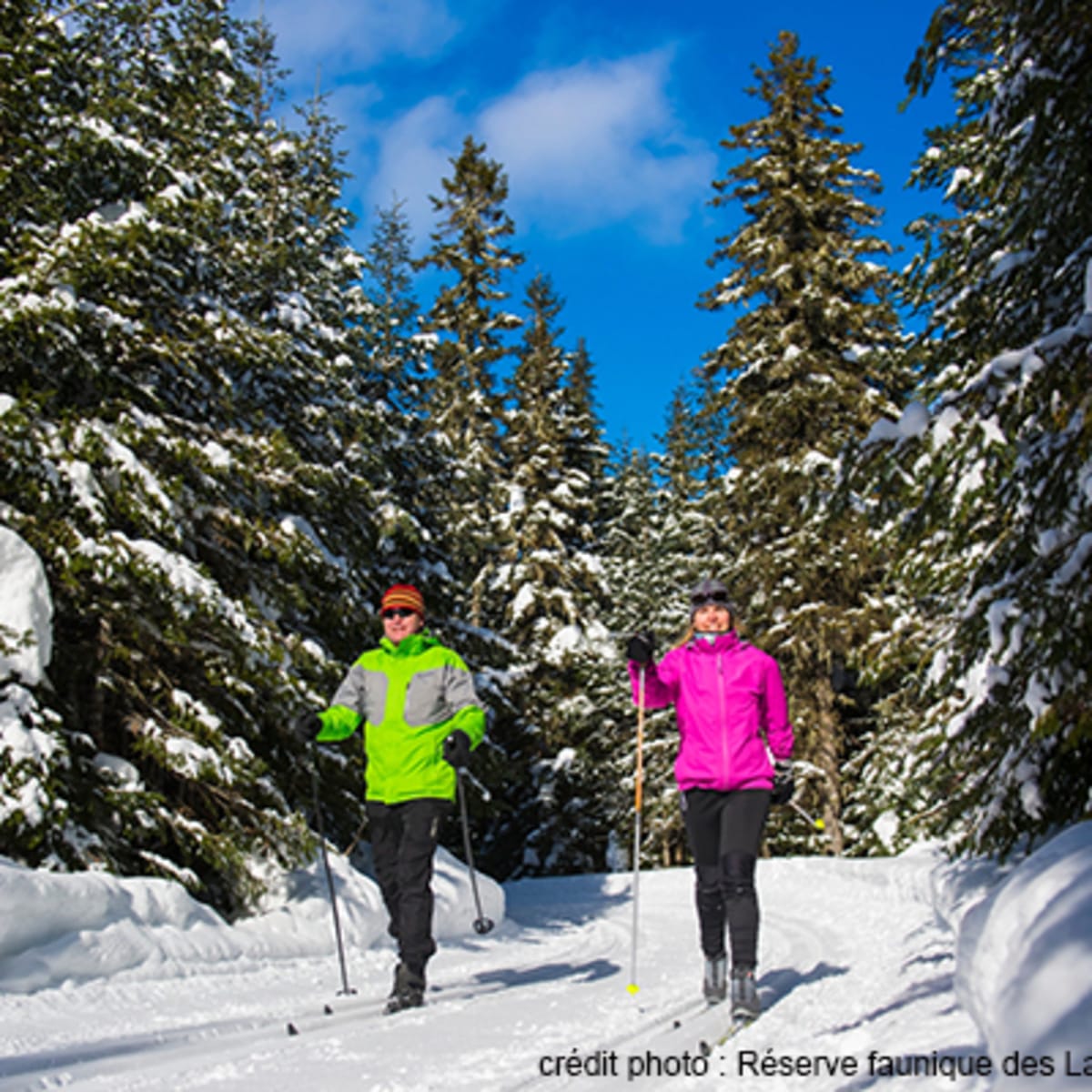 reserve_faunique_des_laurentides_1_h