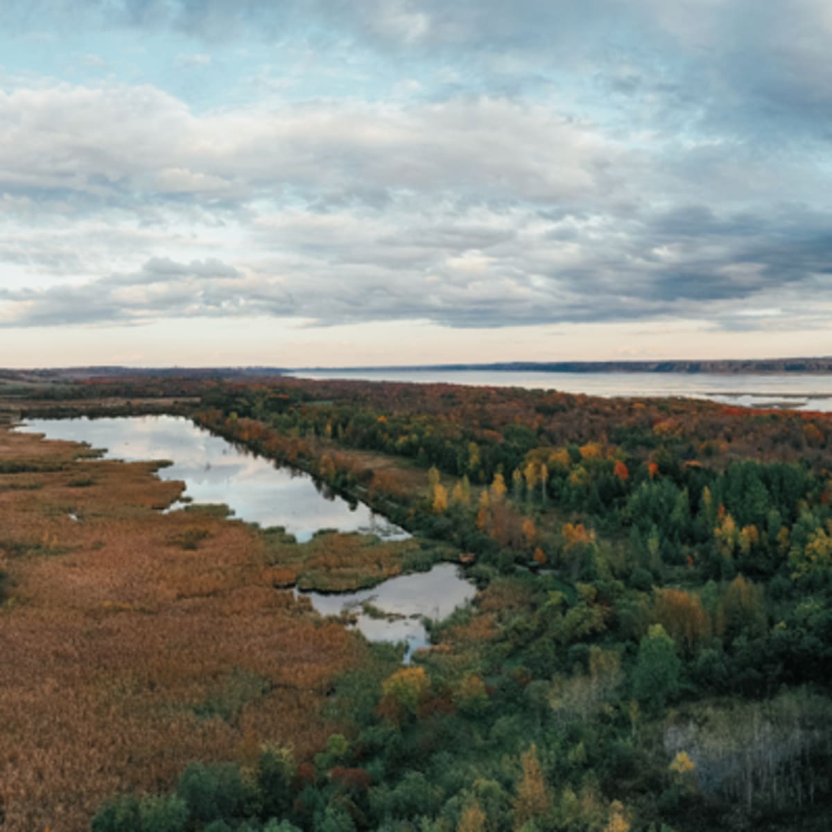 reserve_naturelle_du_marais_leon_provencher_1
