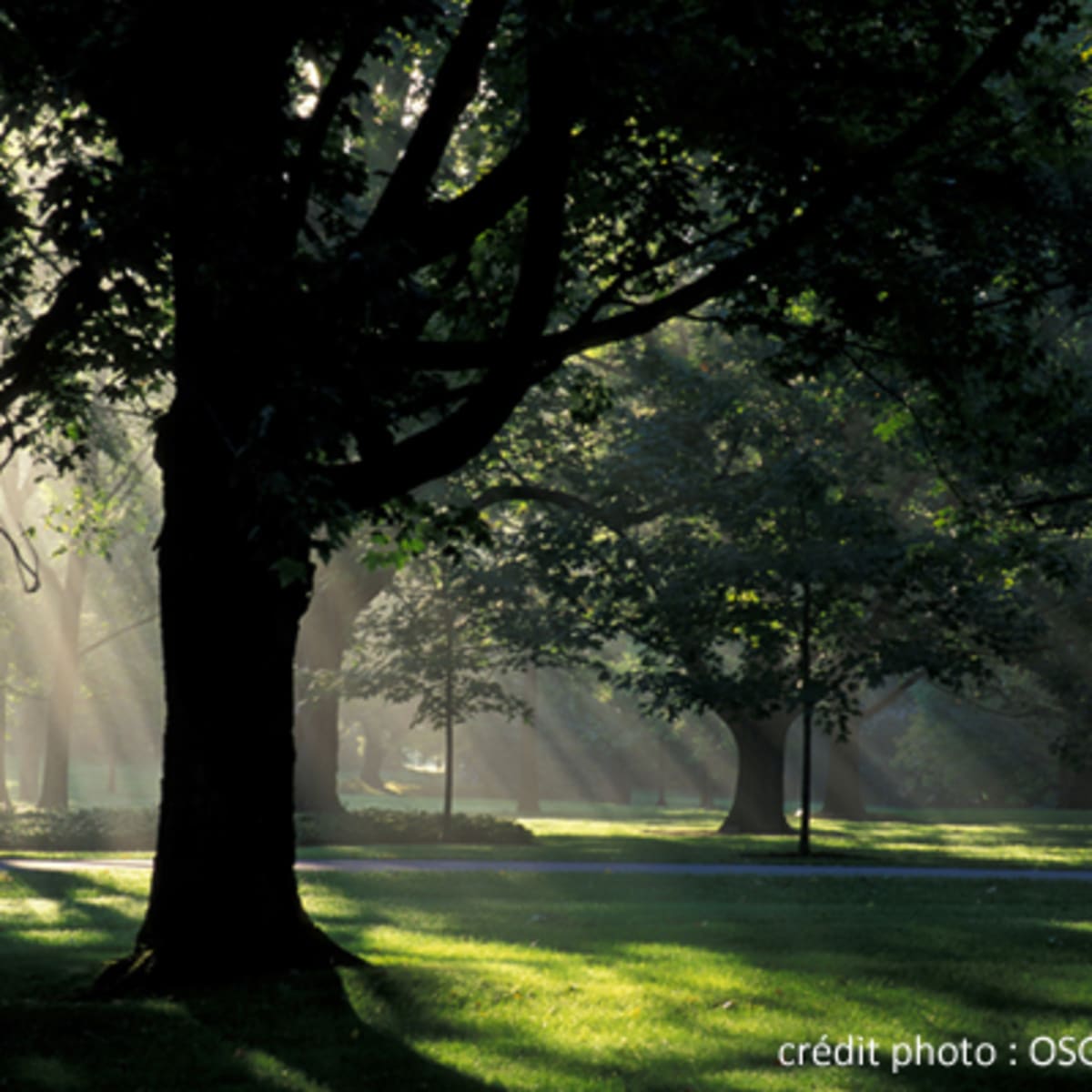 rideau_hall_2