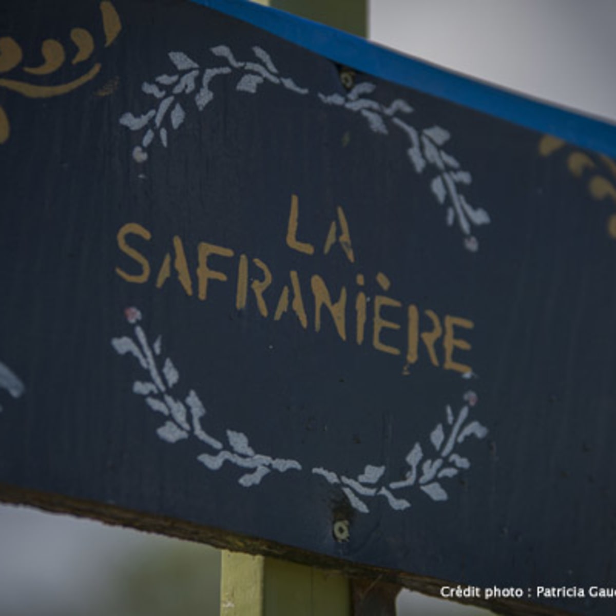 safran_nordique_5