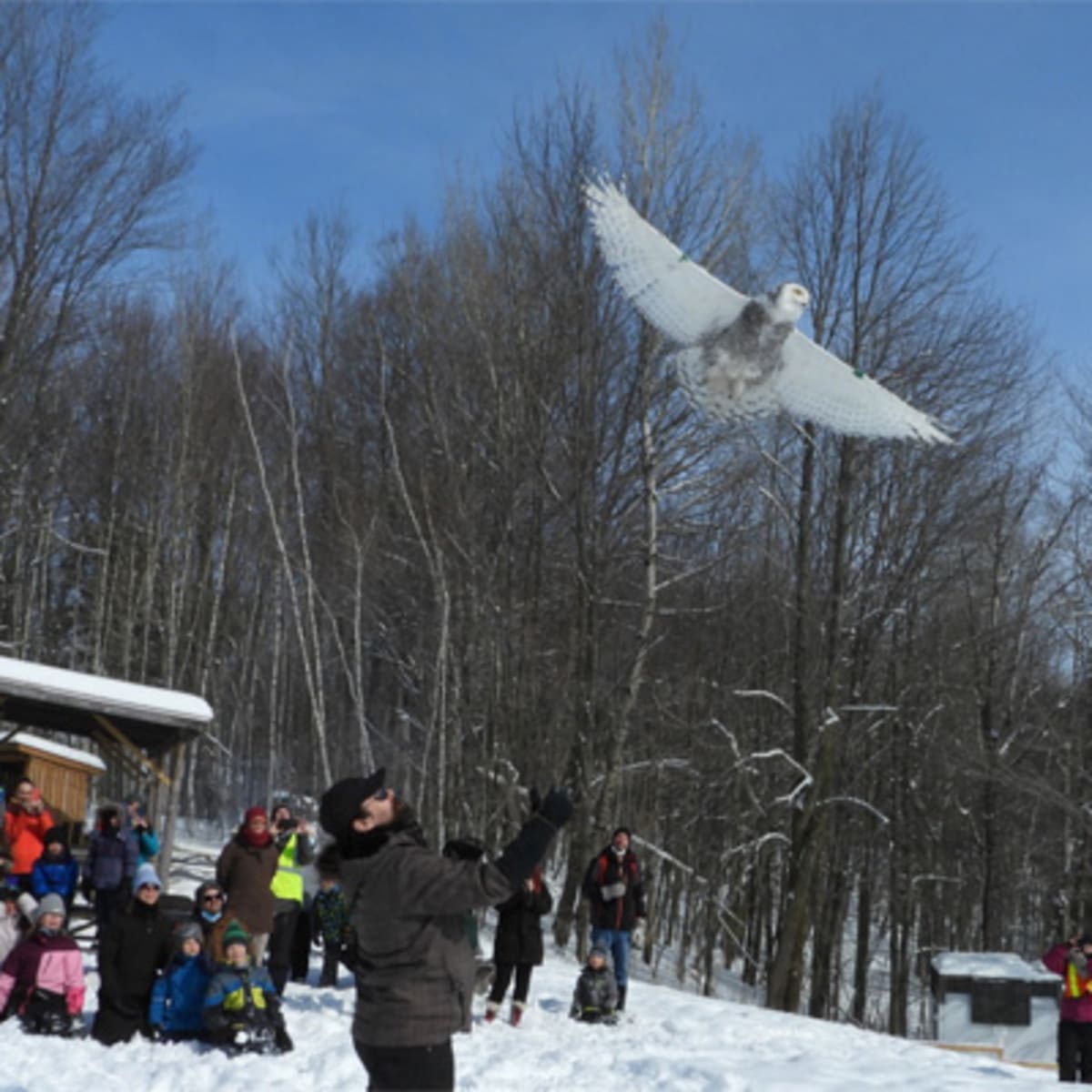 saint_hyacinthe__sa_region_3_h