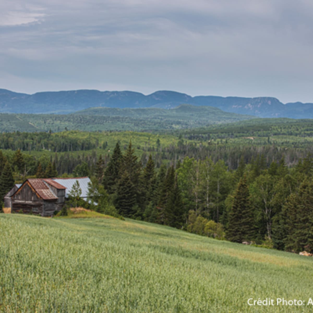 secteur_des_montagnes_13