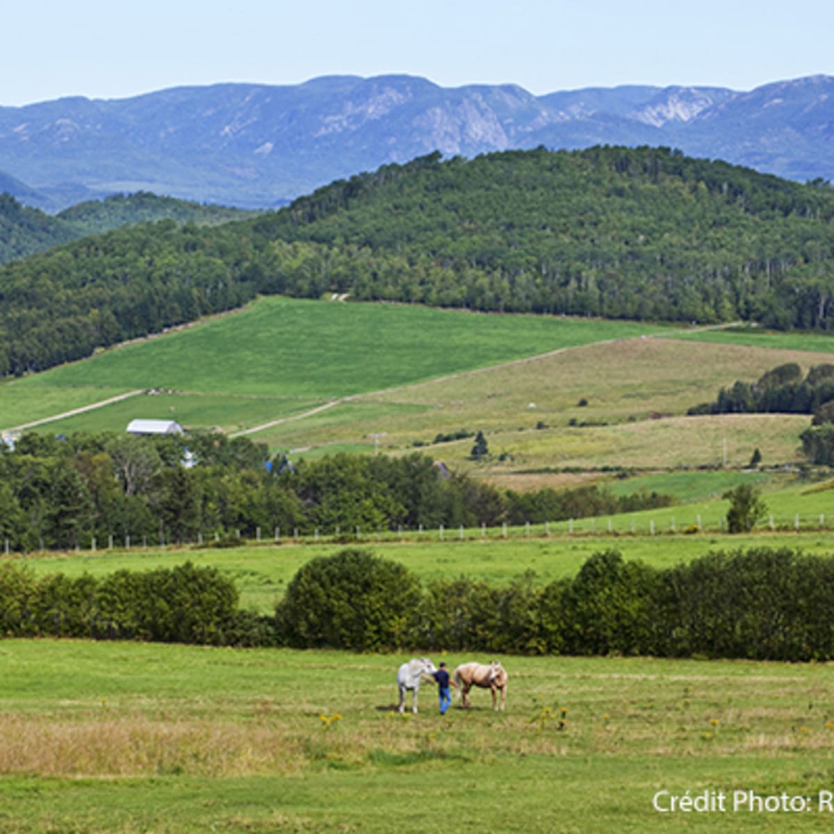 secteur_des_montagnes_7