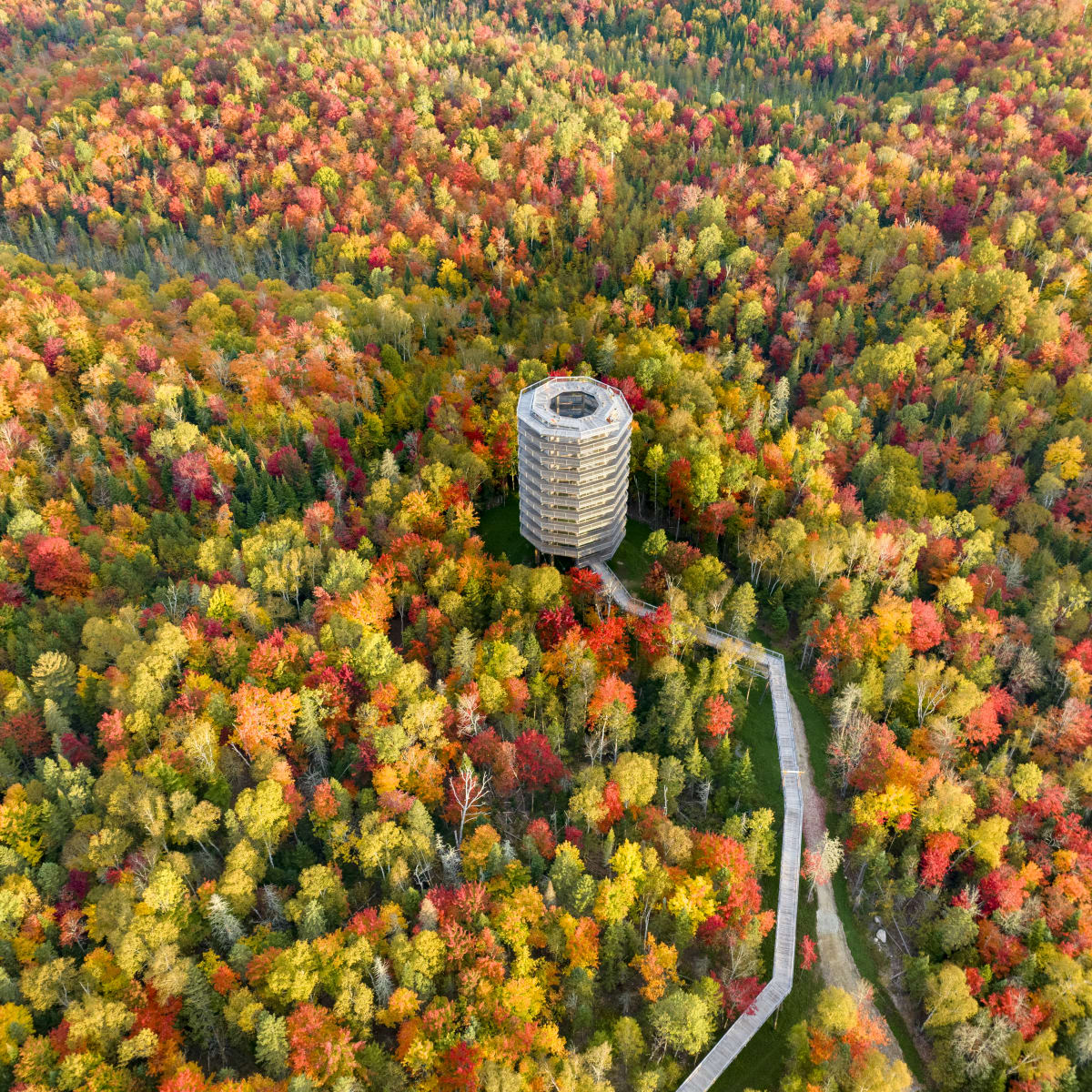 sentier_des_cimes_laurentides_1_a