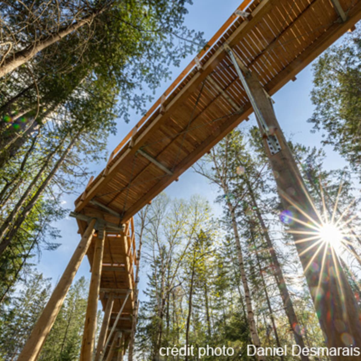 sentier_des_cimes_laurentides_1_p