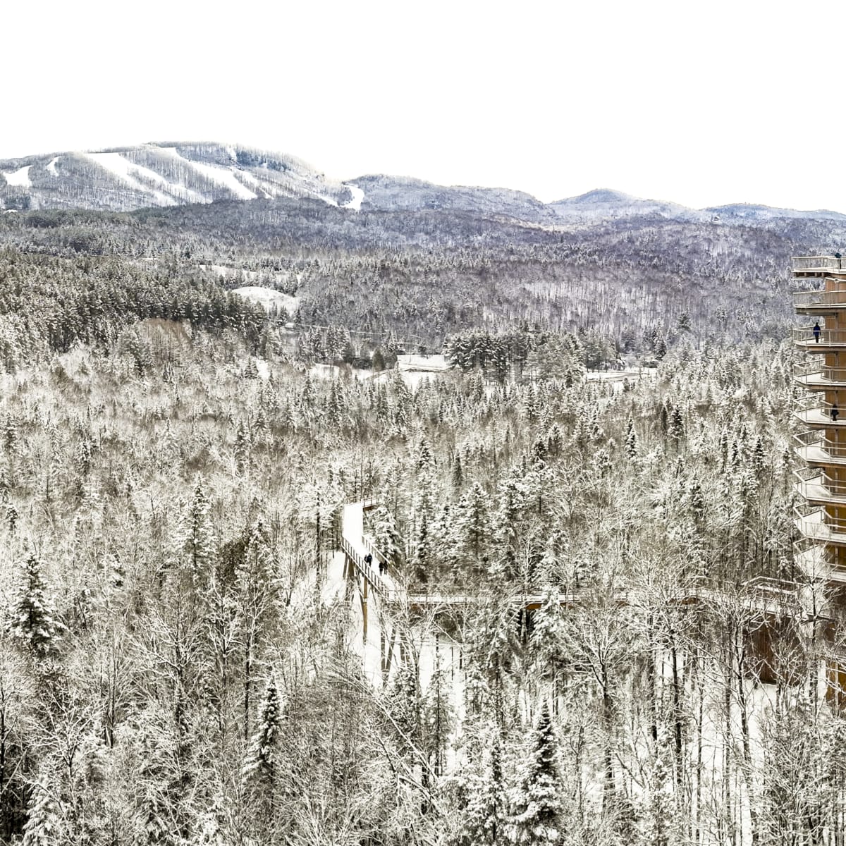 sentier_des_cimes_laurentides_2_h
