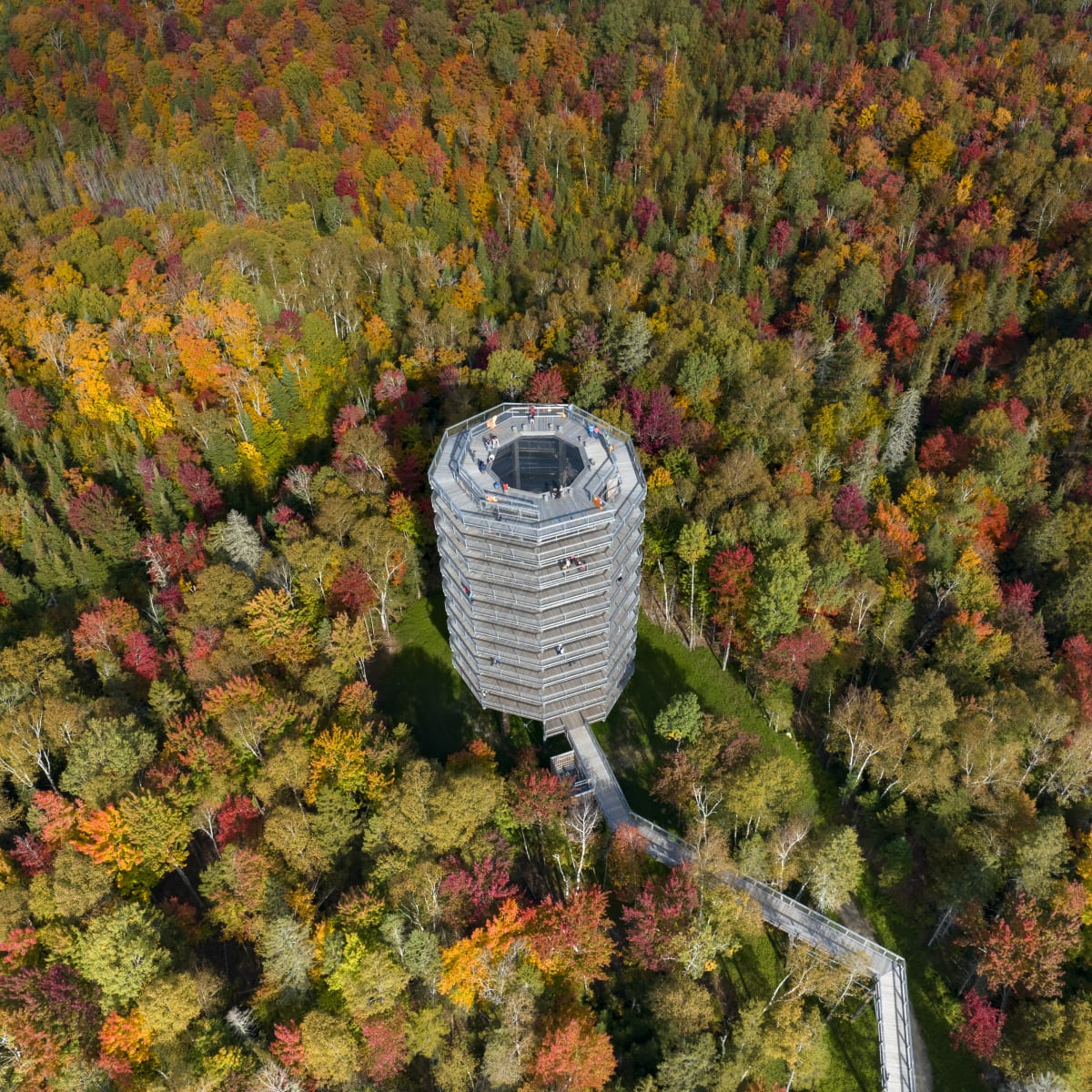 sentier_des_cimes_laurentides_3_a